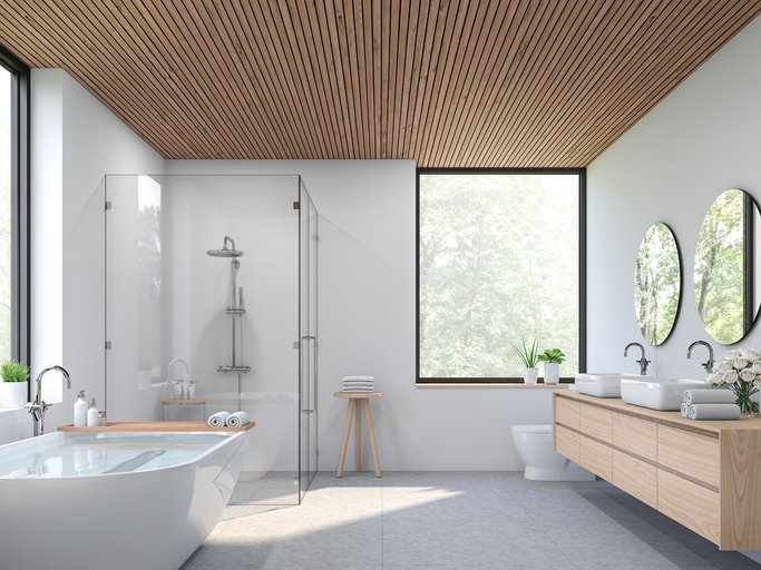 Shower Screen .jpg