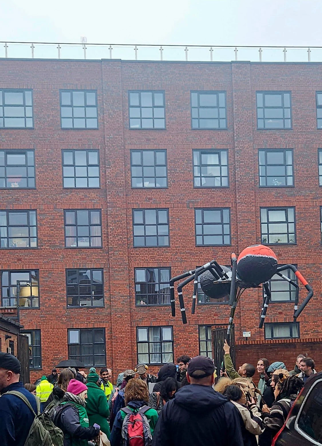 Cardboard-Carnival-spider.jpg