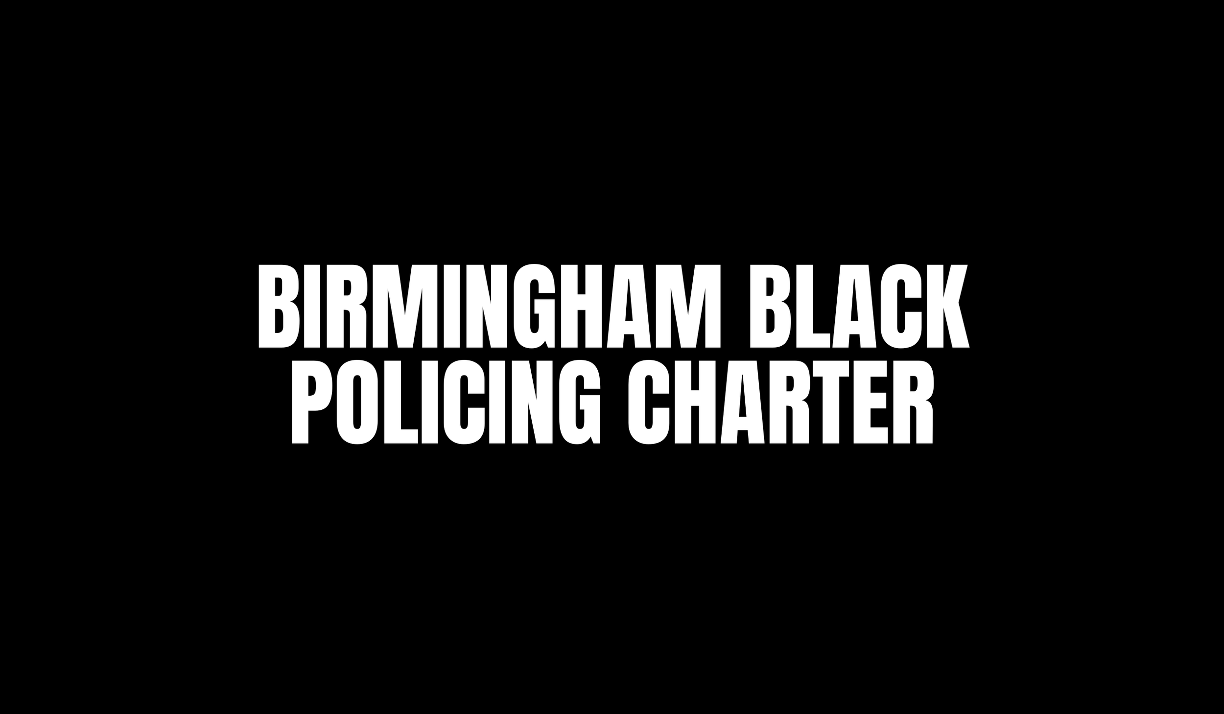 The Birmingham Black Policing Charter Steering Group Takes Shape&nbsp;