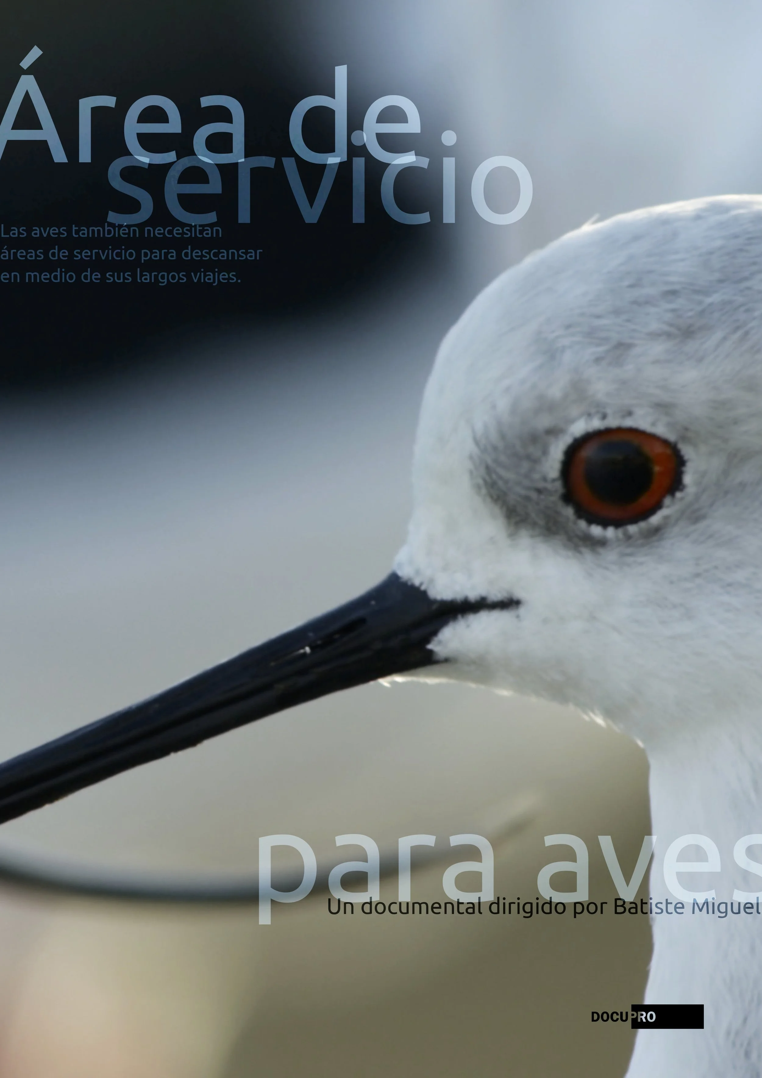 area-servicio-aves.jpg