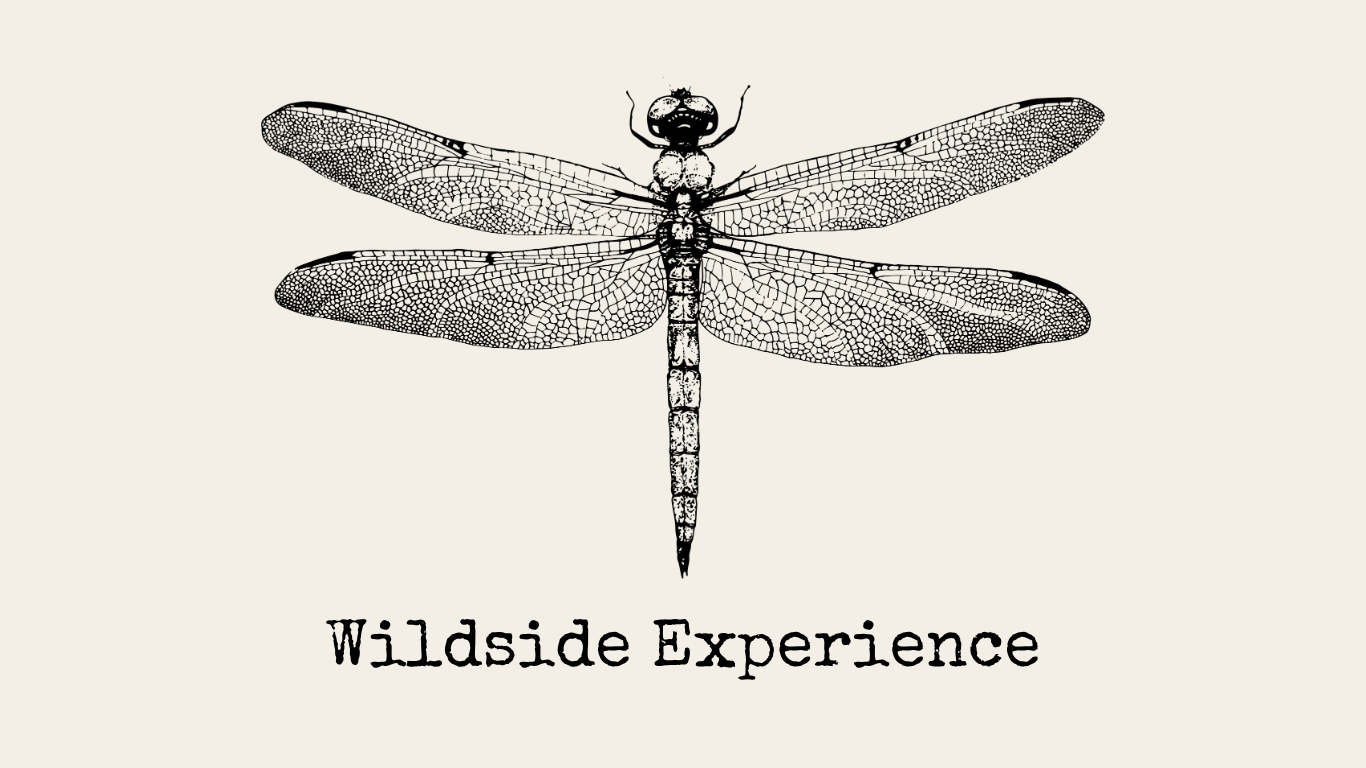 Wildside Experience