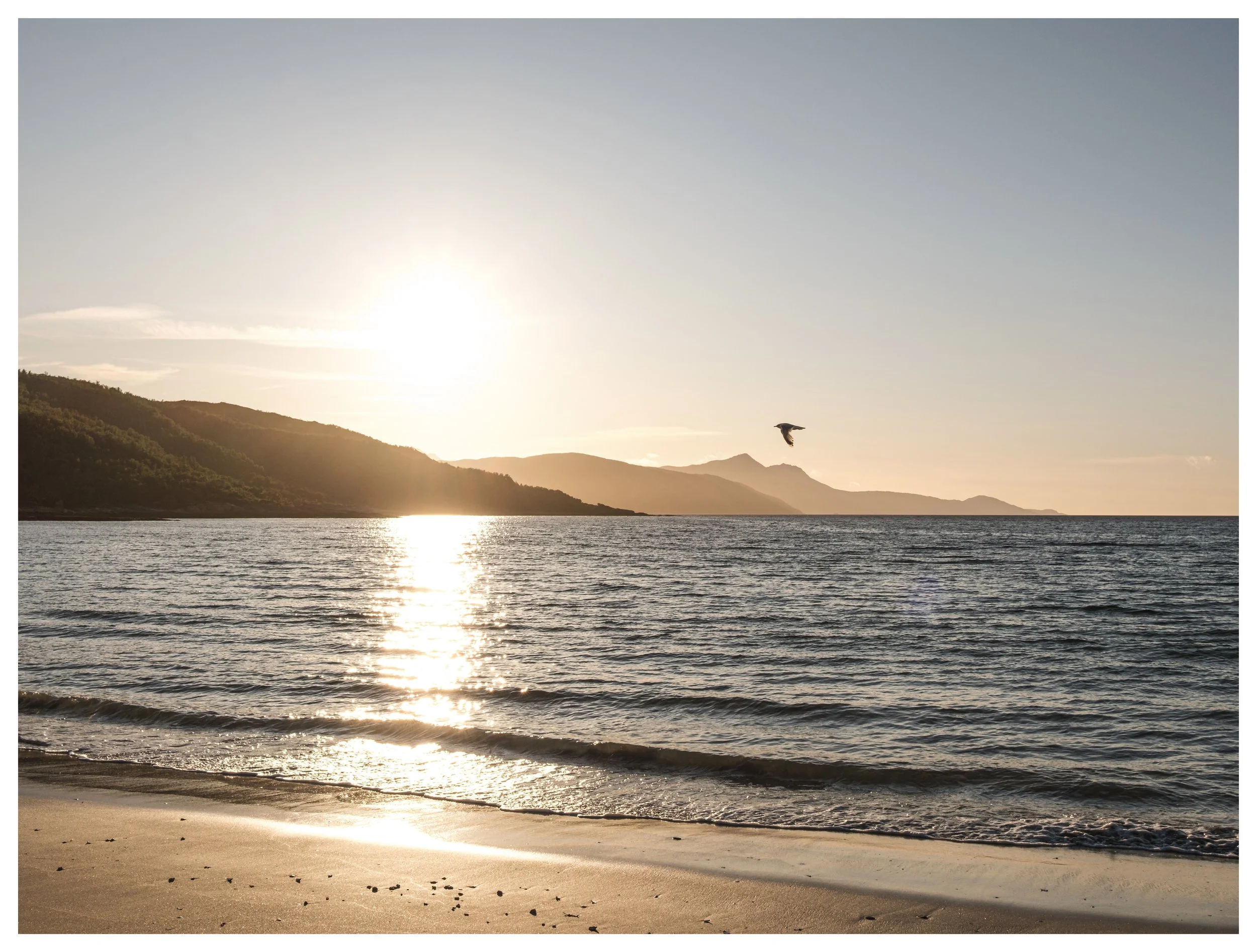 XT5V6111 Edited.jpeg