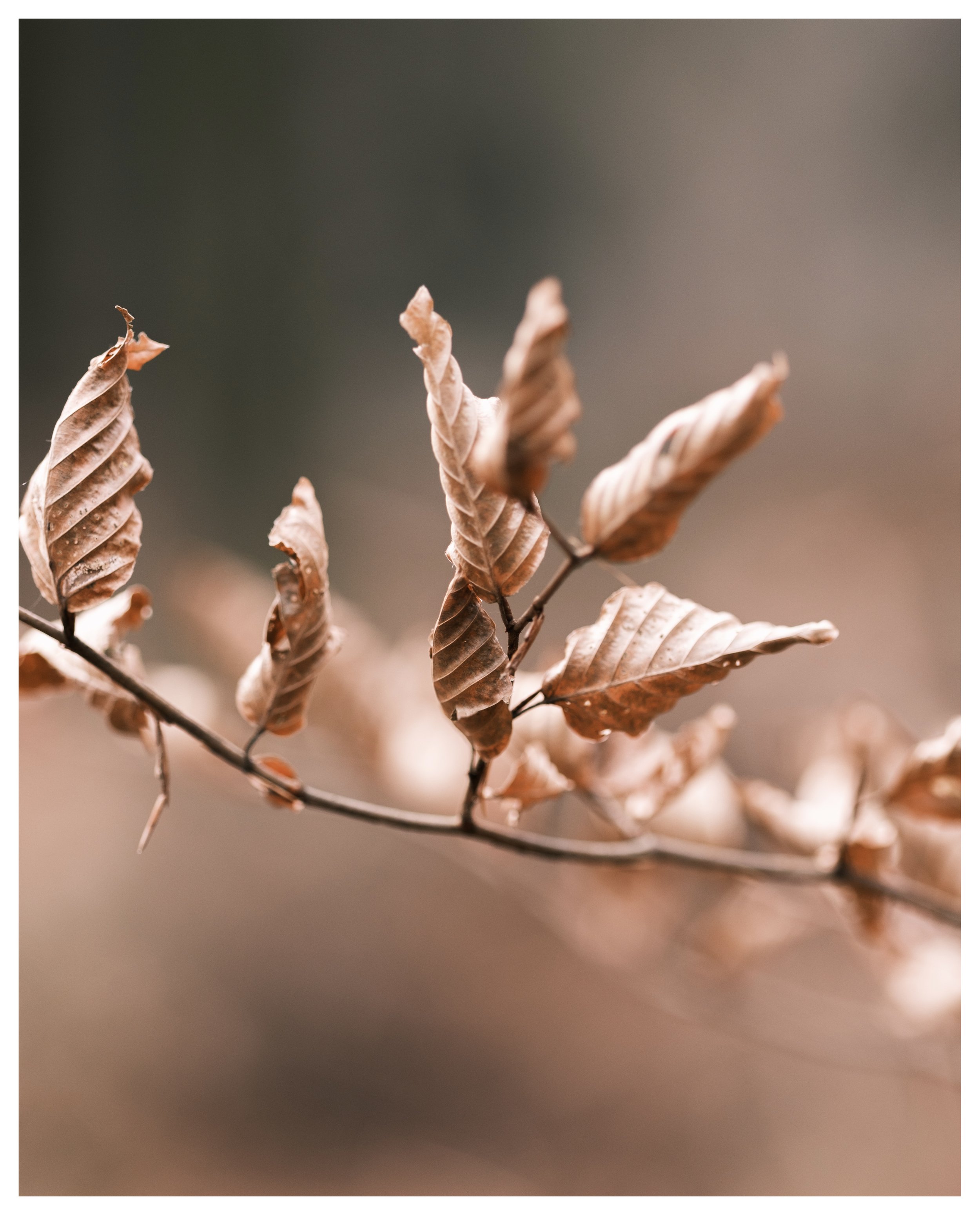 XT5V7575 Edited.jpeg