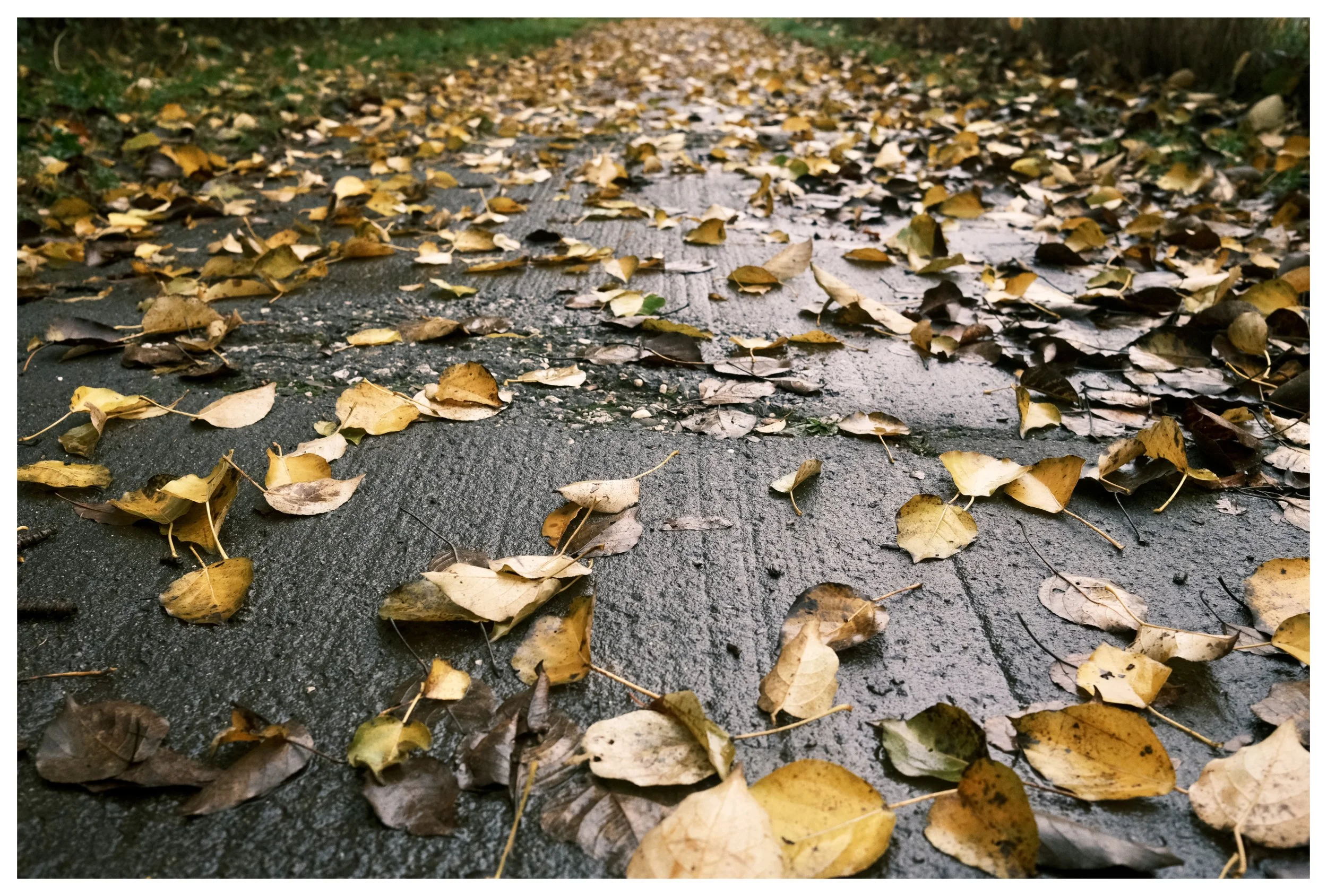 DSCF5168 Edited.jpeg