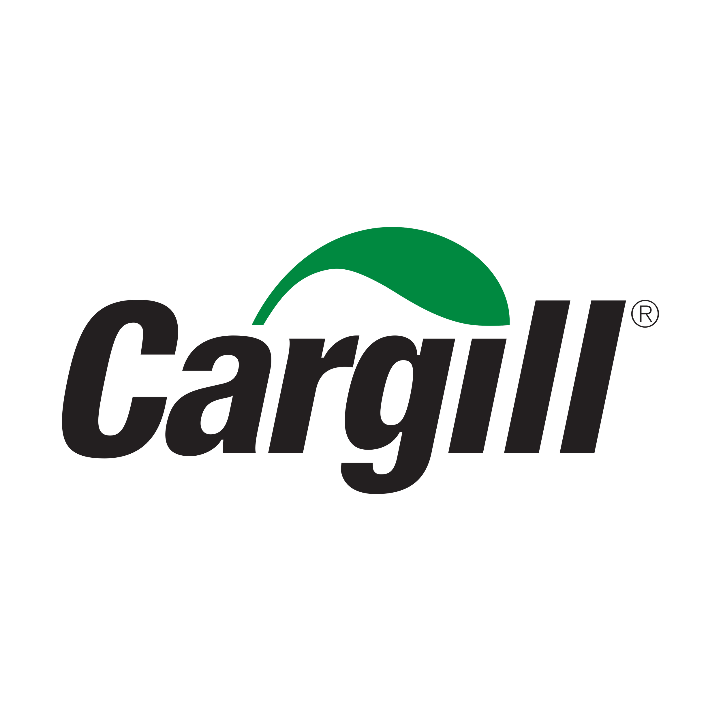 Cargill Color Logo.png
