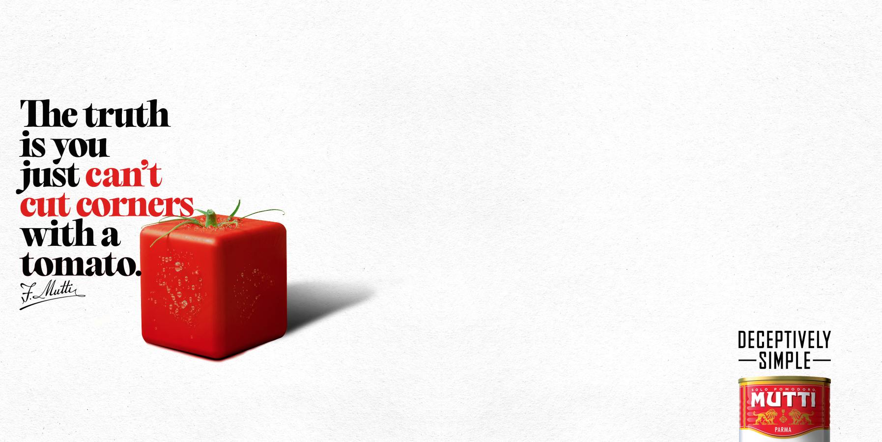 Screen Shot 2024-12-11 at 11.43.30.png