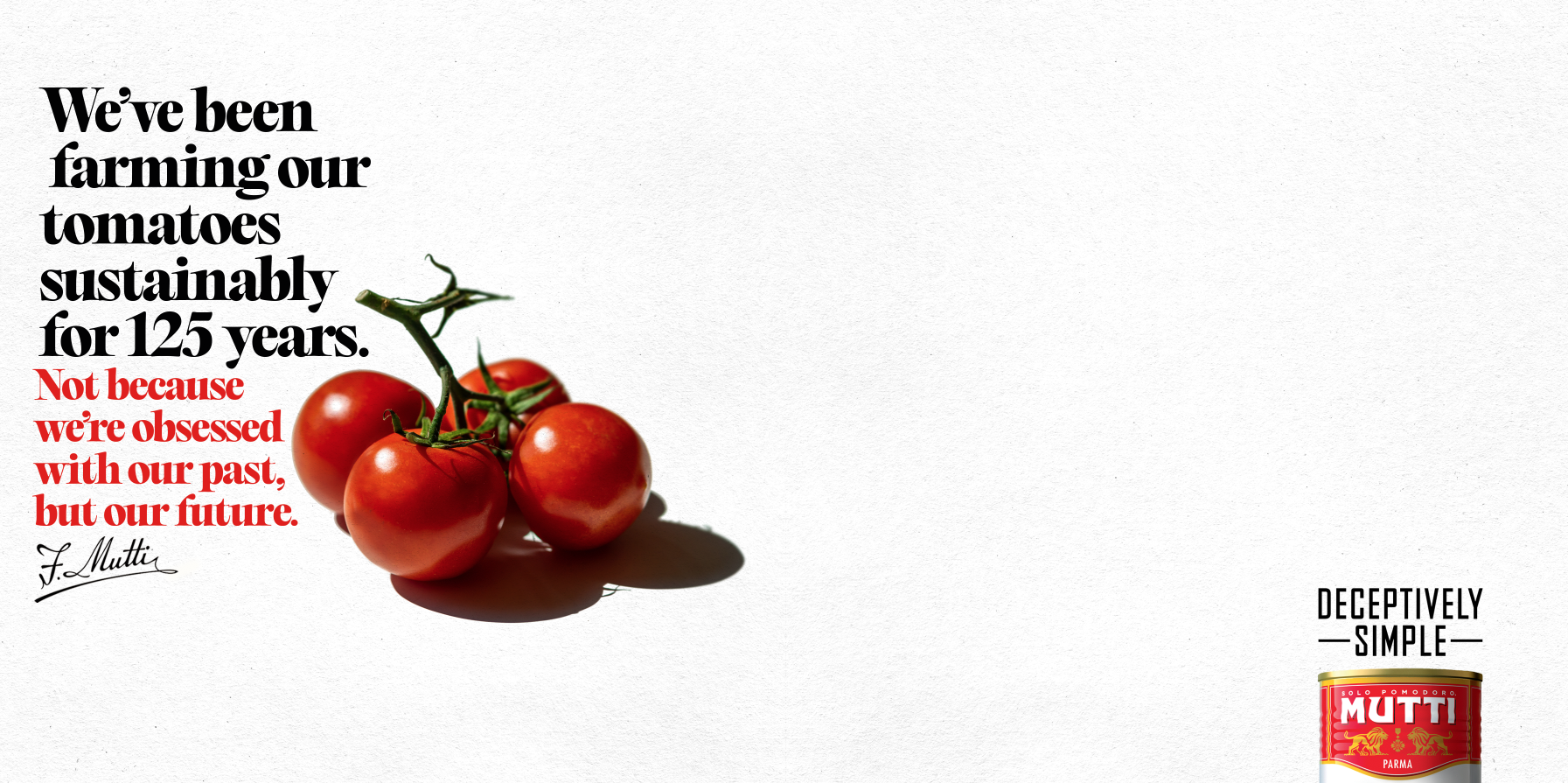 Screen Shot 2024-12-11 at 11.12.07.png