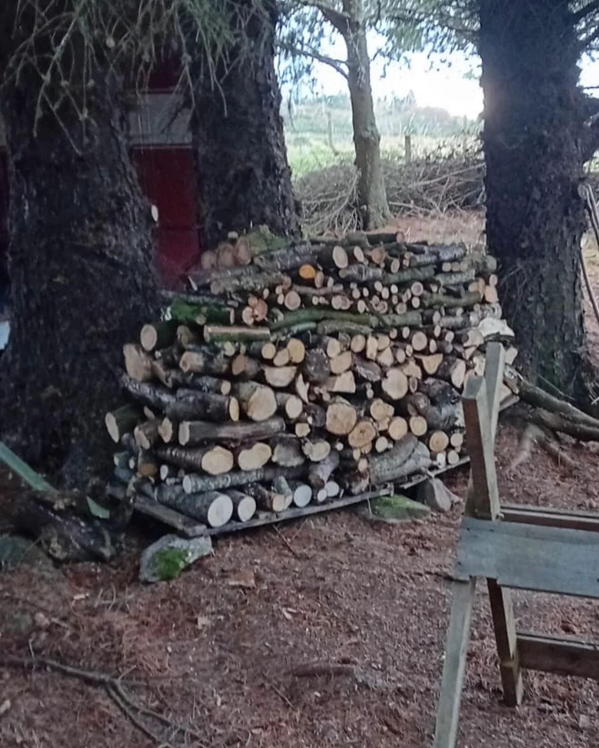 More work in the garden today. Lovely wood pile seasoning for next year! 
🪓🪵🪚