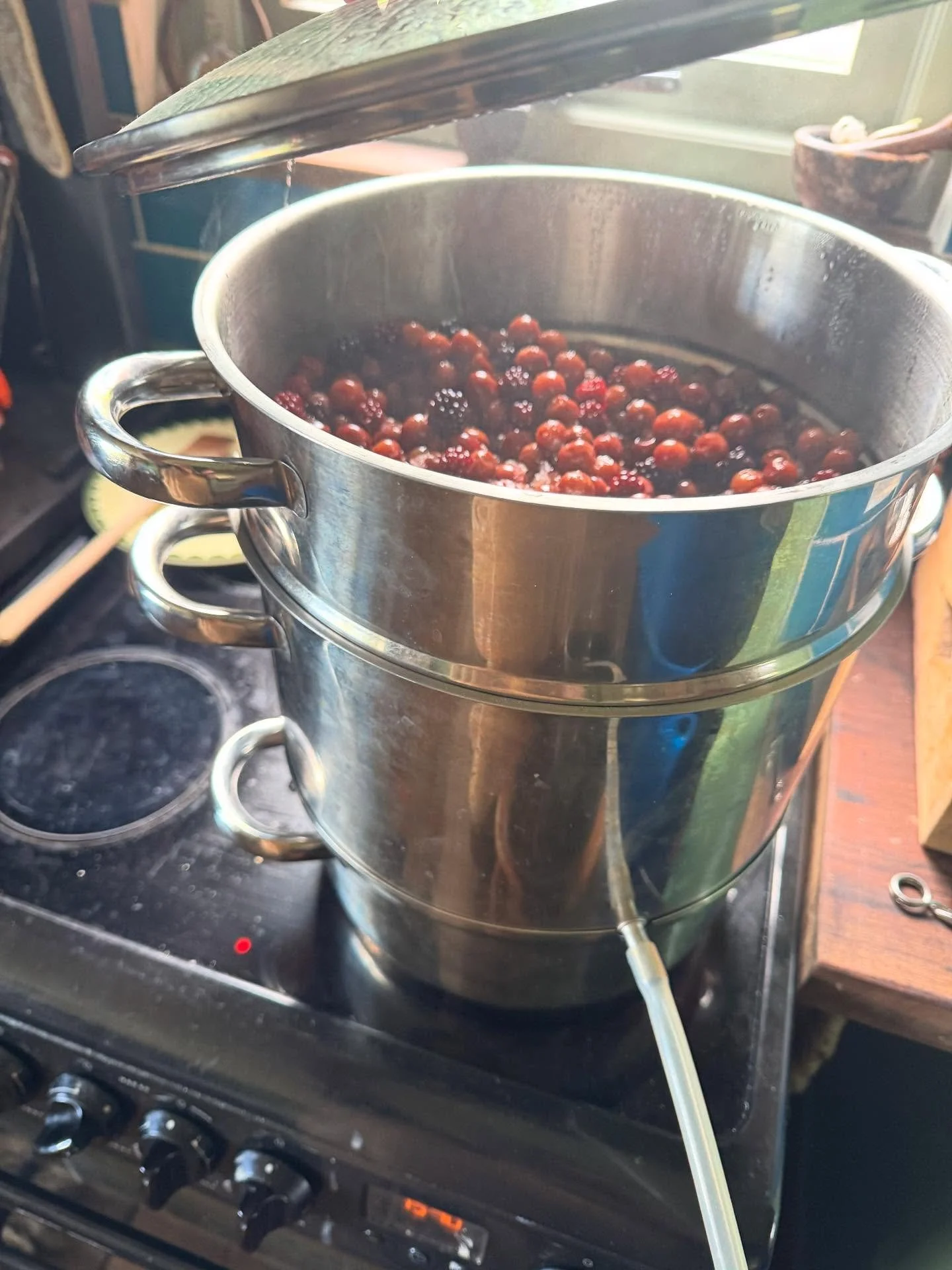 Freezer fail means two days of cooking. I&rsquo;ve made black currant jam and cordial, I&rsquo;ve steam juiced a carrier bag full of cherries for canning, damson cheese, an enormous quiche filled with rescued leeks, onion and cauliflower and frozen e