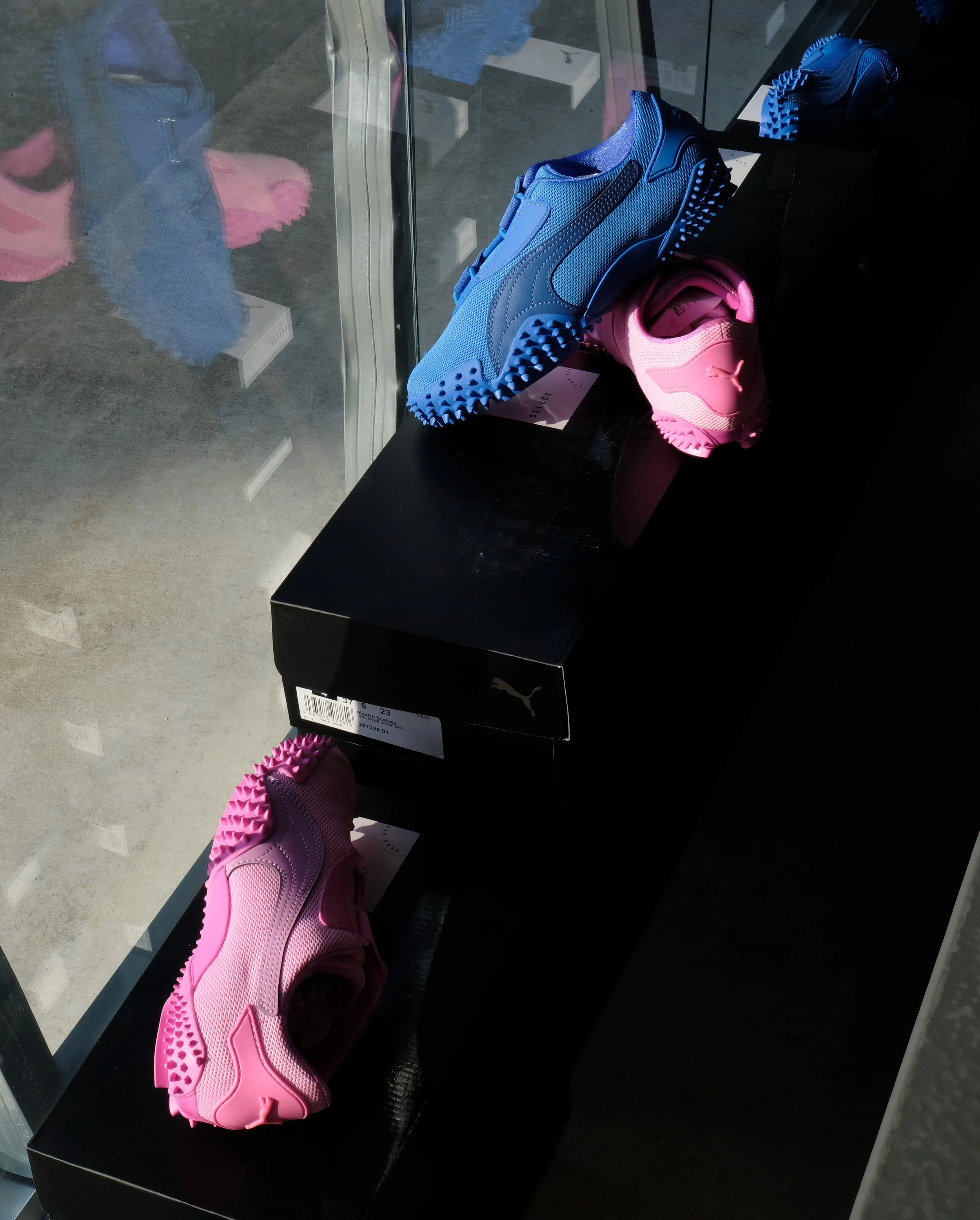 DSCF1004.jpg