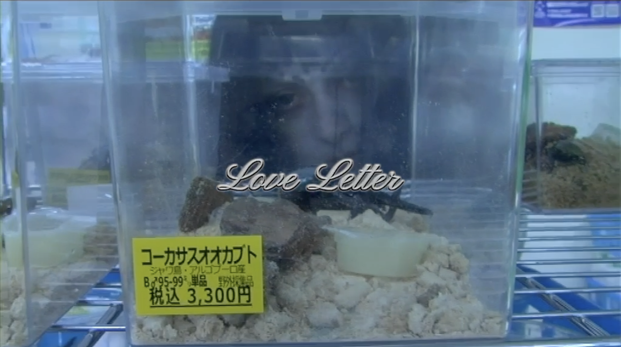 Love Letter