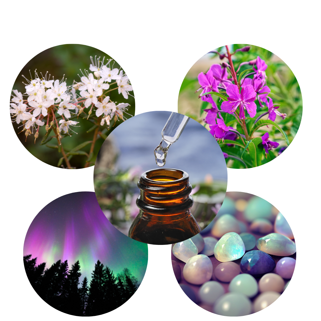 Flower Essence Therapy: A Comprehensive Guide