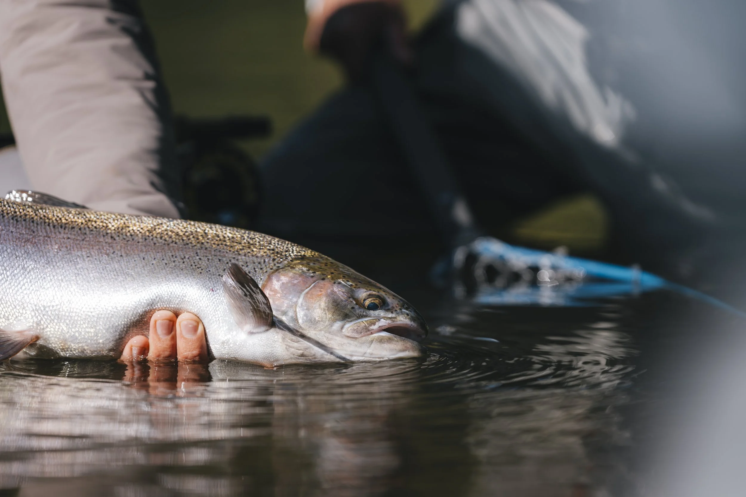 Mad_River-49.jpg
