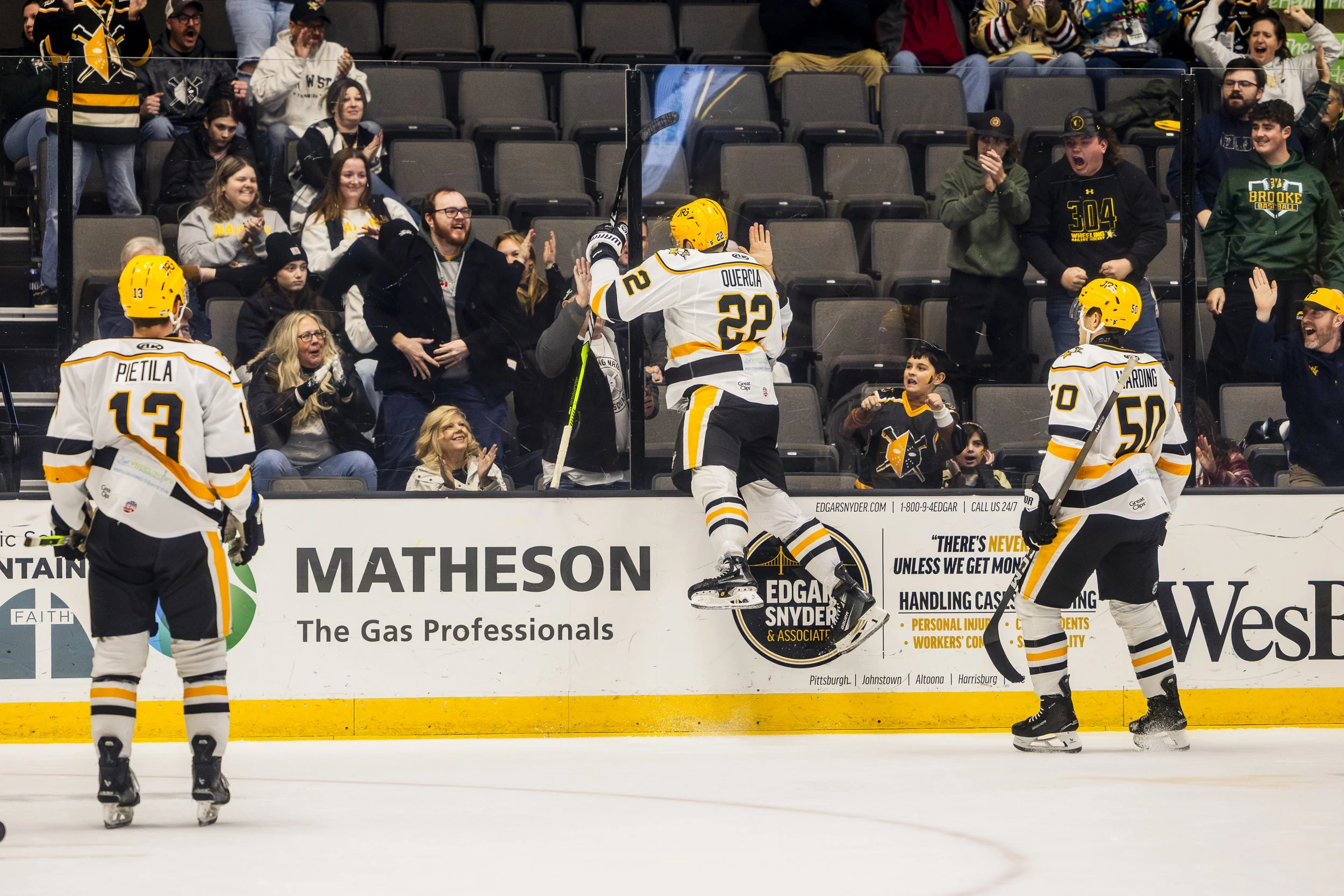 Pups&Pucks_vs.CincinnatiCyclones_WheelingNailers_Nov11_RachelLilyAbramson-51.jpg