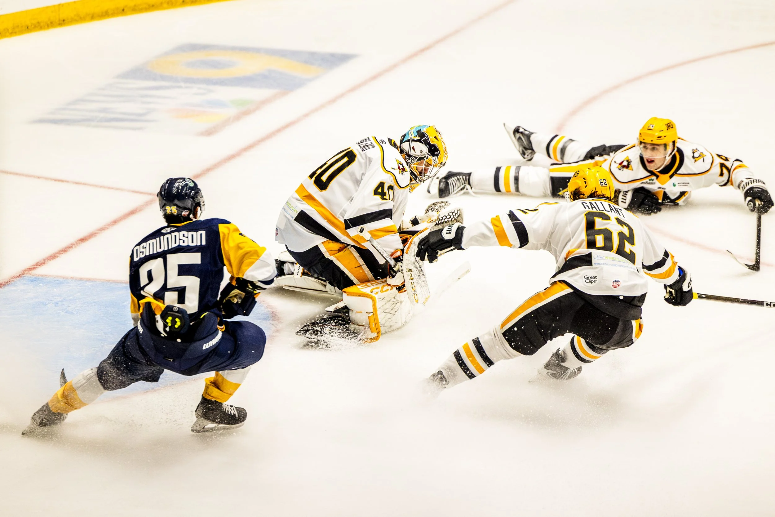 HomeOpener_ft.GraceGoods_WheelingNailers_vs.Norfolk_Nov1_RachelLilyAbramson-122.jpg