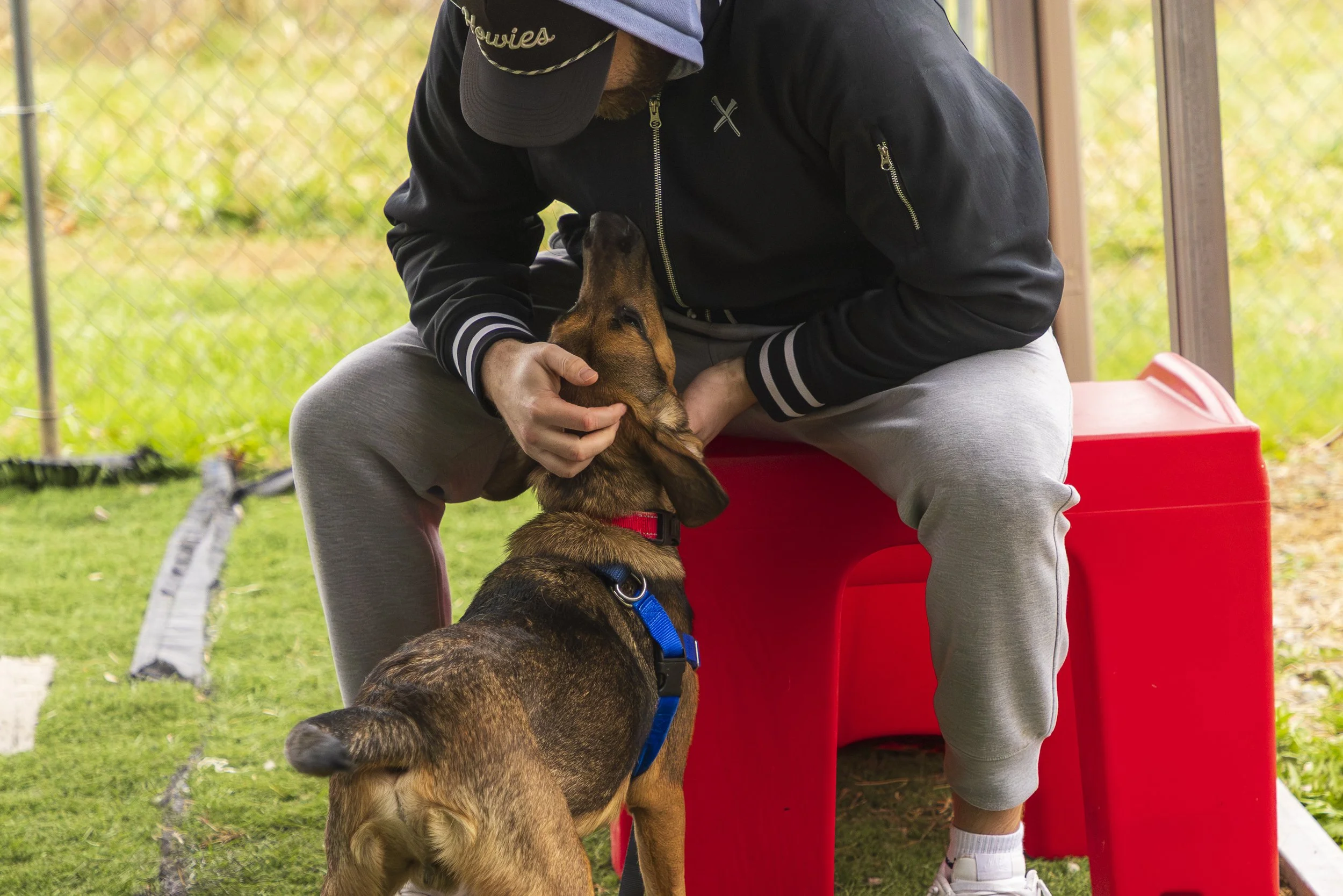 MarshallCountyAnimalShelterVisit_WheelingNailers_Nov20_RachelLilyAbramson-28.jpg