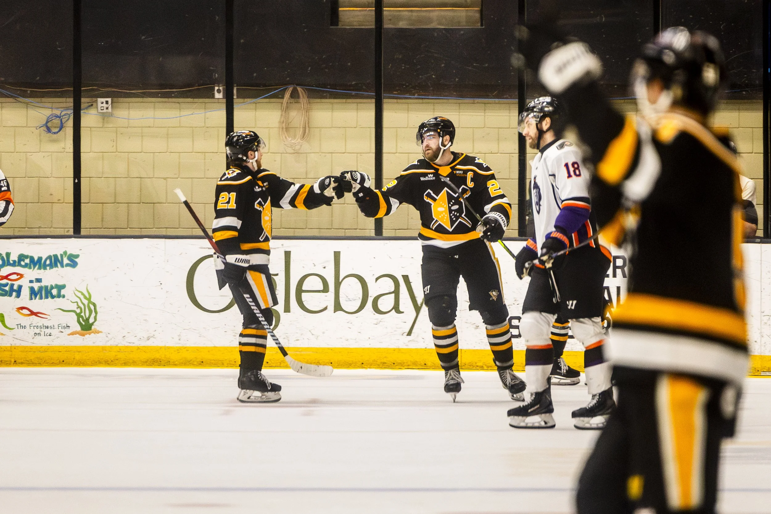 WIN_Playoffs_RD1GM1_WheelingNailers_vs.ReadingRoyals_April24_2026_RachelLilyAbramson-91.jpg