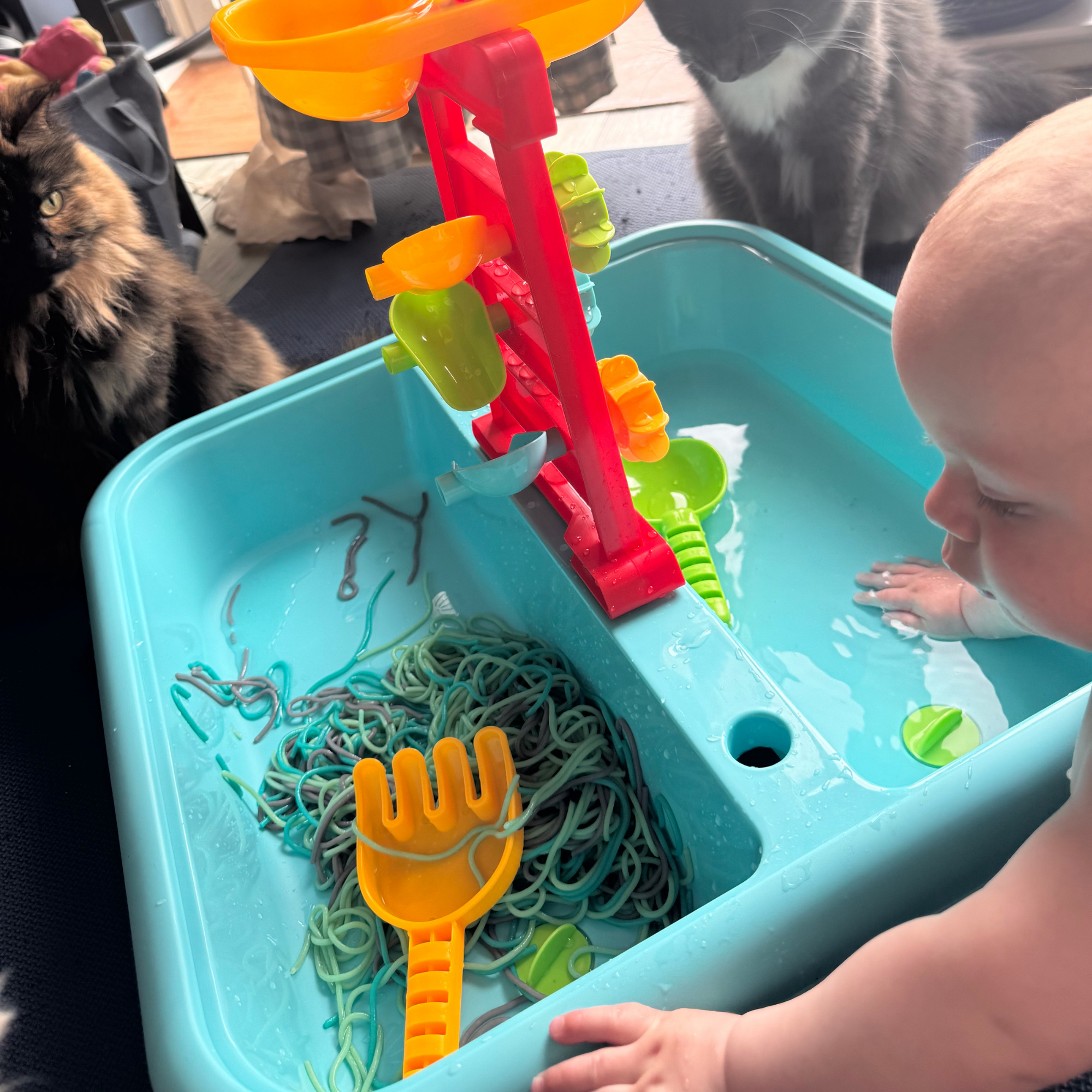 The No-Phone Summer: 50 Ways to Save Your Kids (and Your Sanity) from the Algorithm