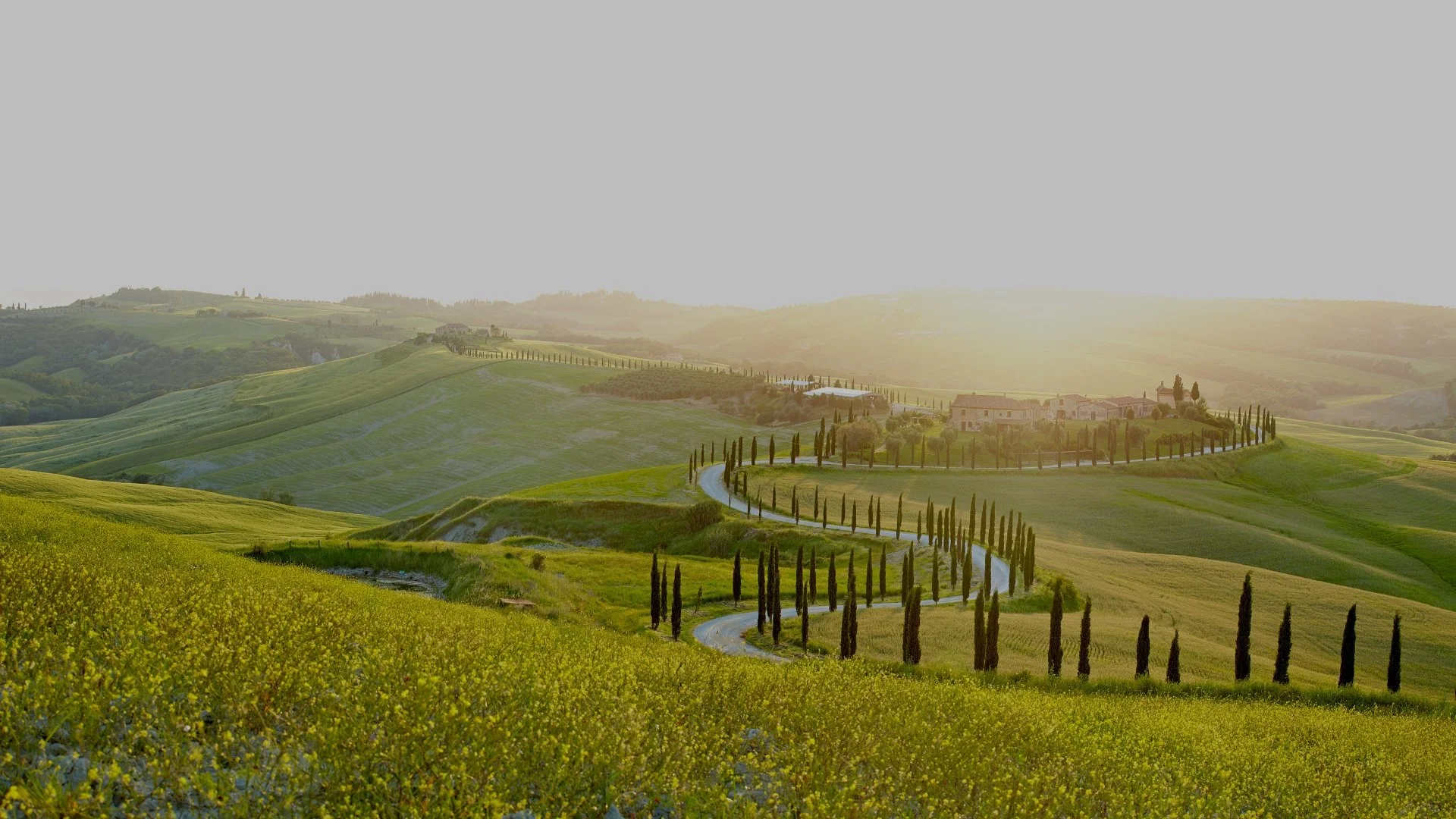 Scenic view of rolling green hills in Tuscany with cypress trees lining winding road, farmhouses in distance, and sunlight illuminating the landscape.