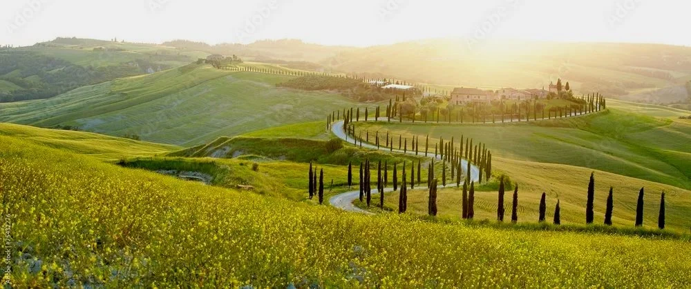 Scenic view of rolling green hills in Tuscany, Italy, with a winding road lined with cypress trees and a distant farmhouse, during sunrise or sunset.