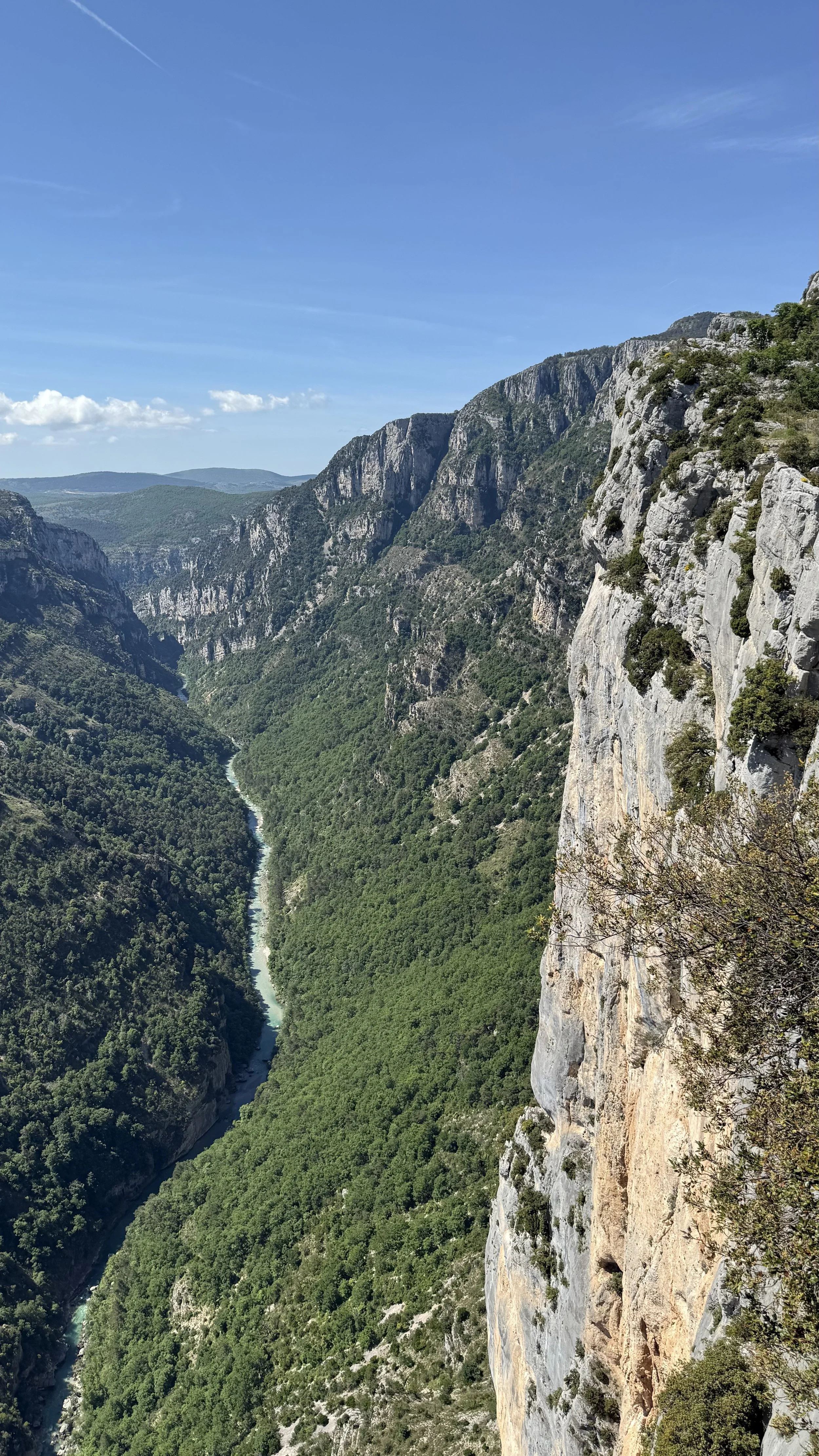 A scenic view of a deep valley with a winding river flowing through lush green forests on the valley floor, surrounded by tall rocky cliffs under a clear blue sky.