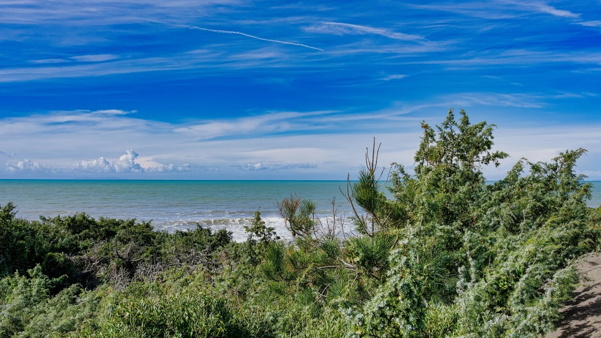 A scenic view of the ocean with green vegetation in the foreground, a blue sky with wispy clouds overhead, and a distant horizon where the sea meets the sky.