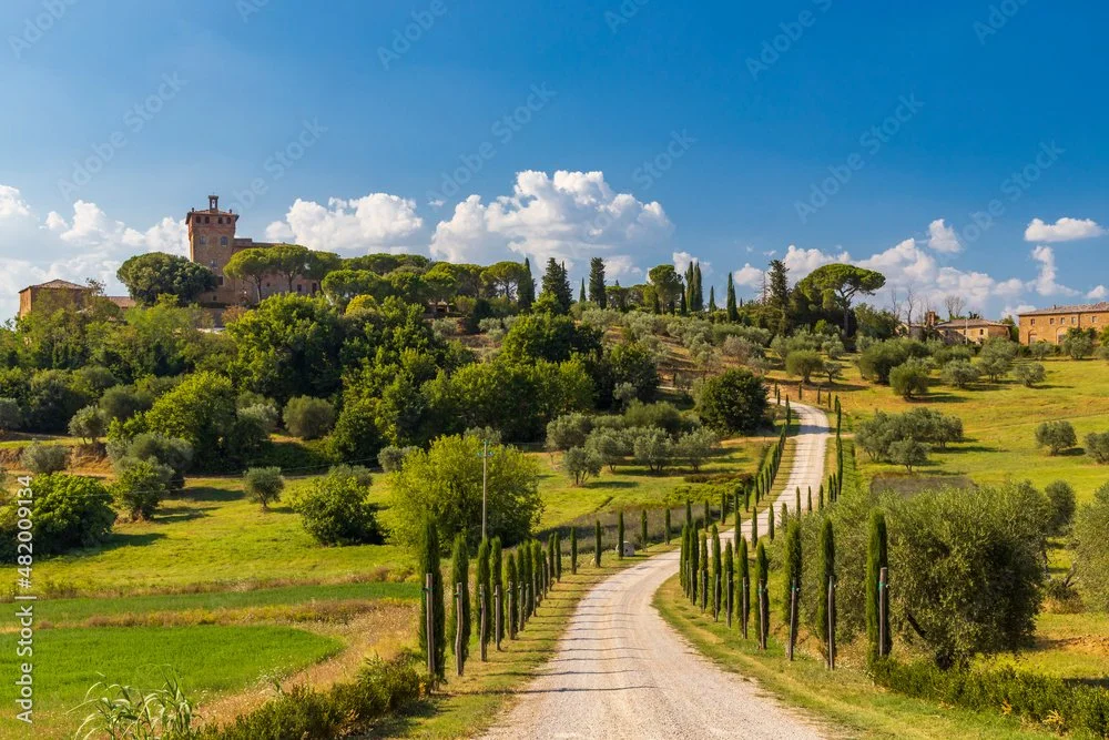 A winding gravel road through a lush, green countryside with trees, bushes, and a castle-like structure on a hilltop in the background under a partly cloudy blue sky.