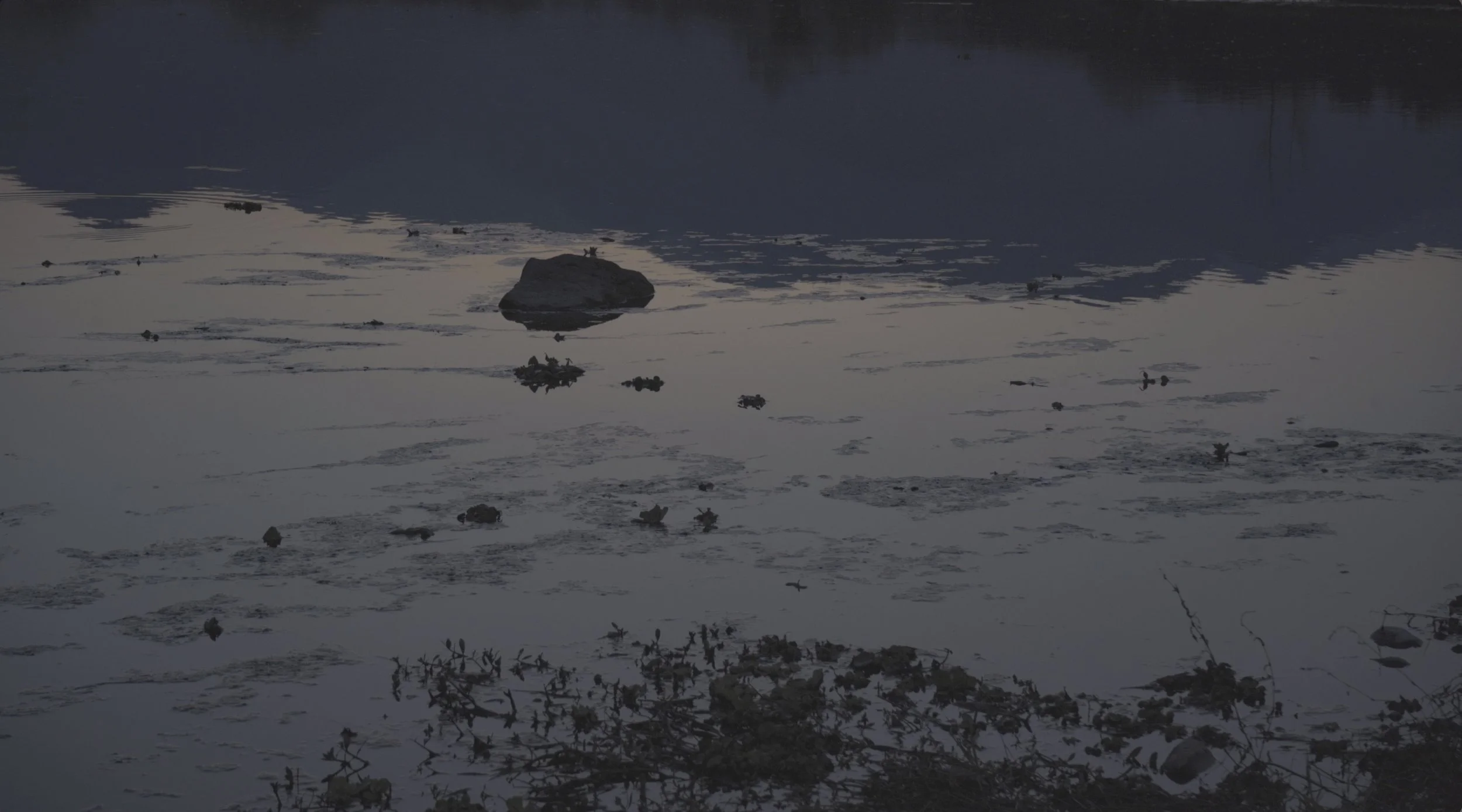 Screenshot 2026-01-03 at 21.42.47.jpg