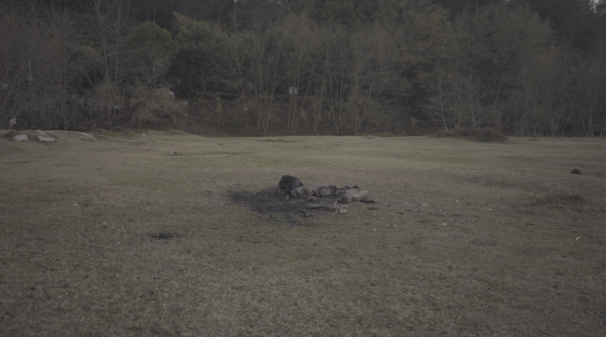 Screenshot 2026-01-03 at 21.41.31.jpg