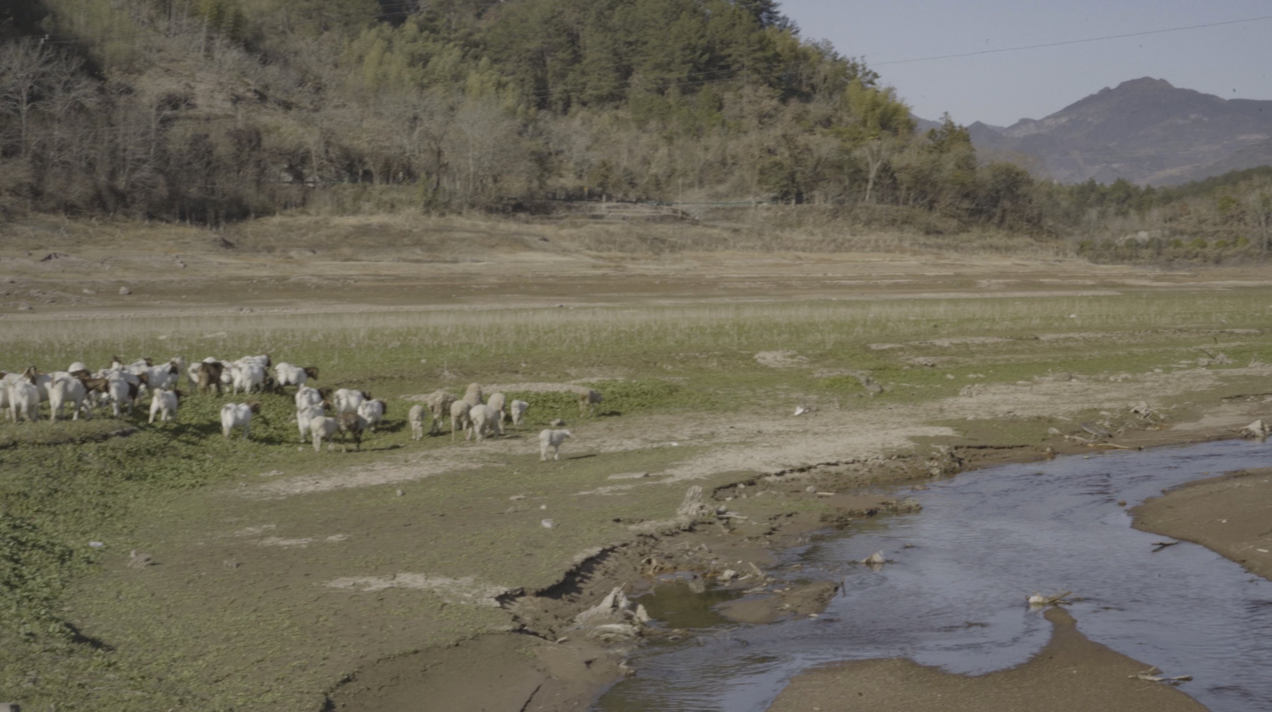 Screenshot 2025-12-15 at 23.13.54.jpg