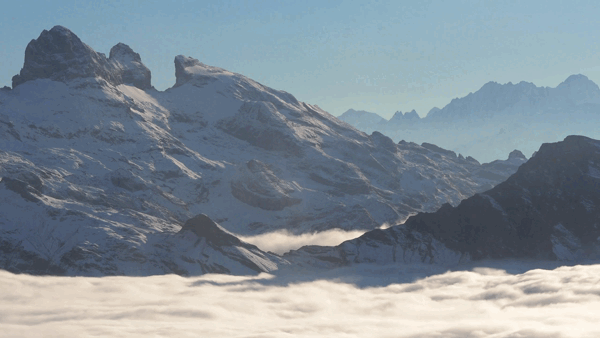 ezgif.com-gif-maker (4).gif