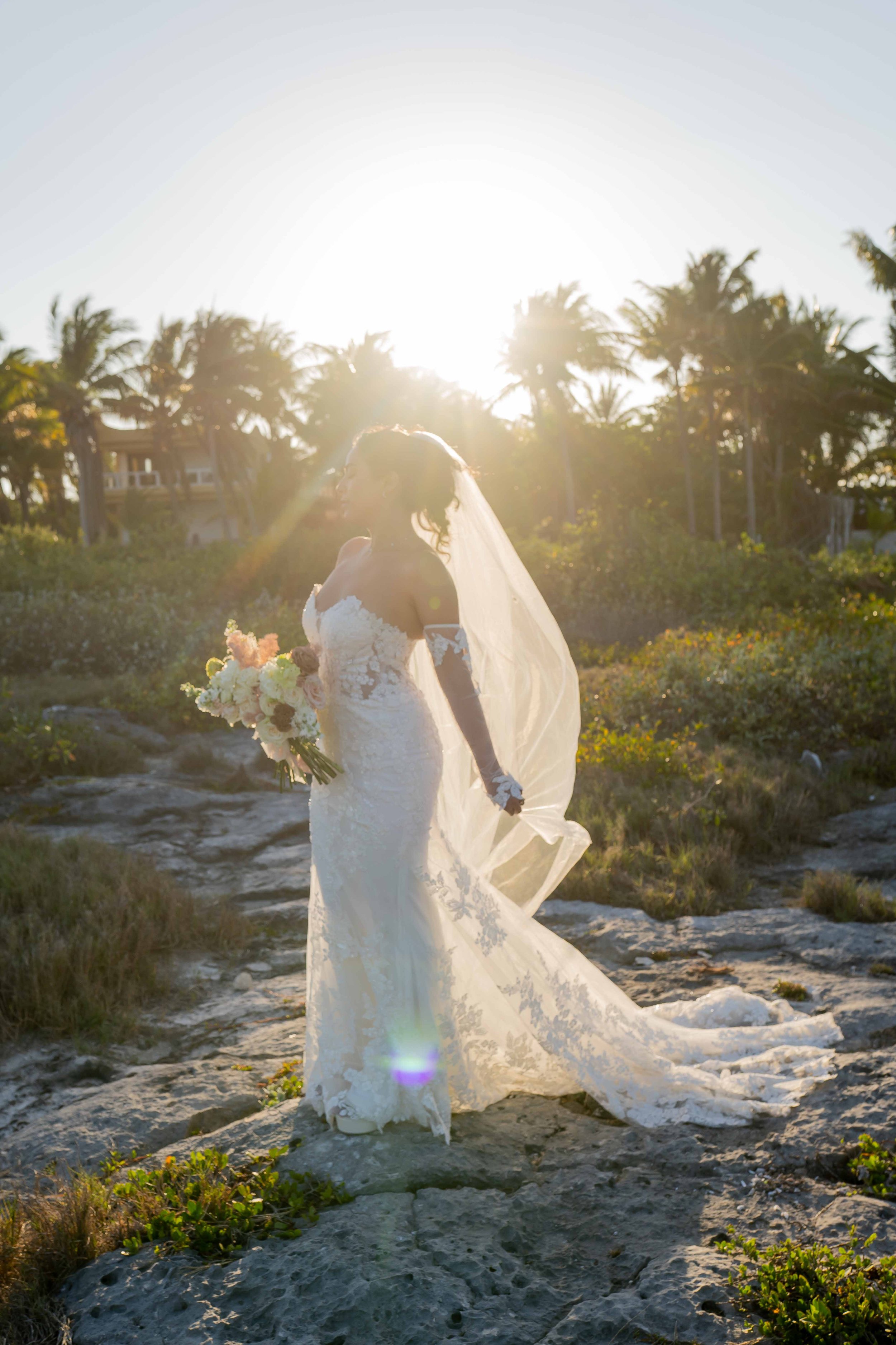 blue venado wedding photographer mexico