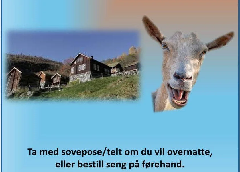 Barn Blues in Avdalen 2026