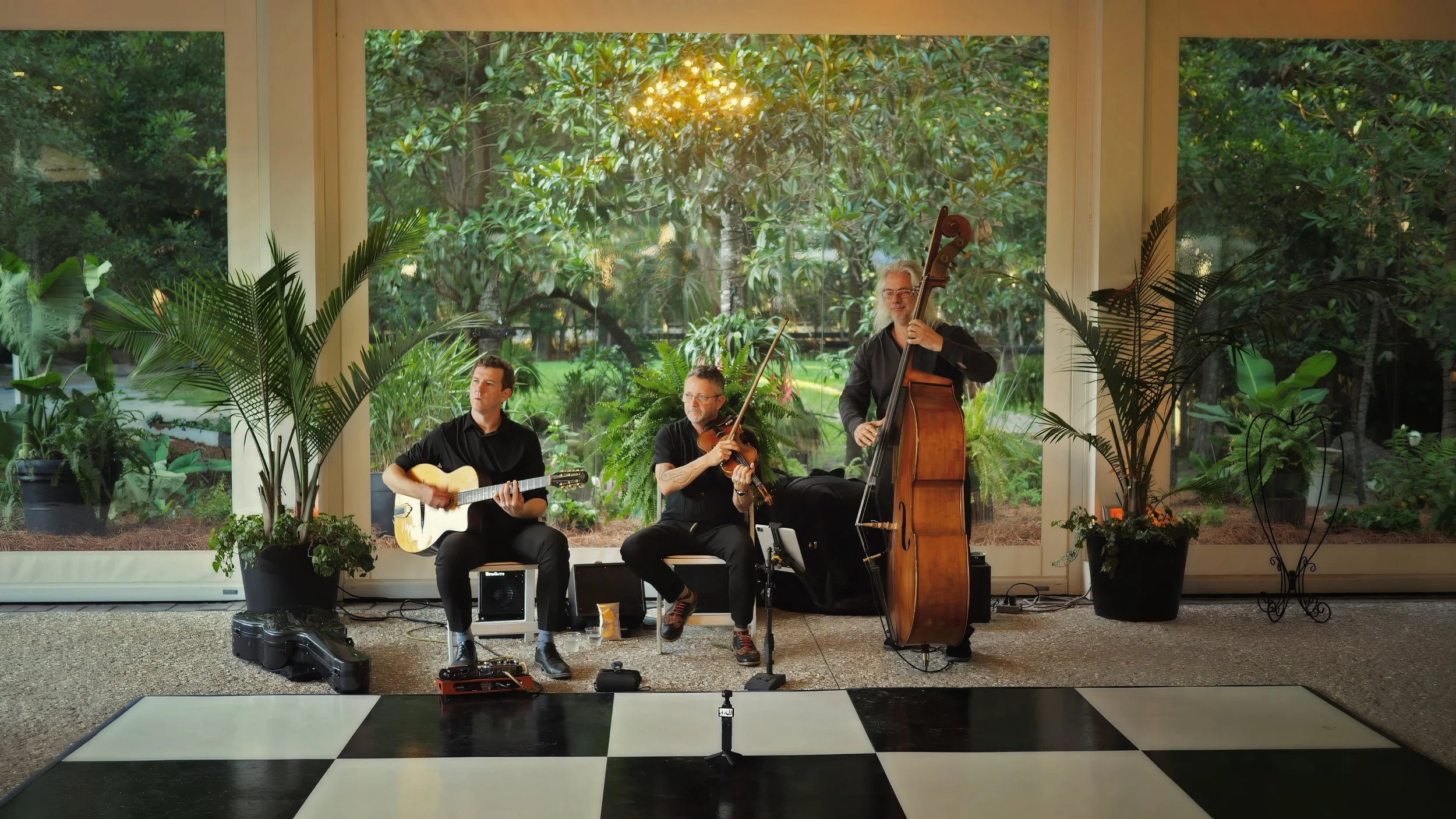 Live String Trio Performance