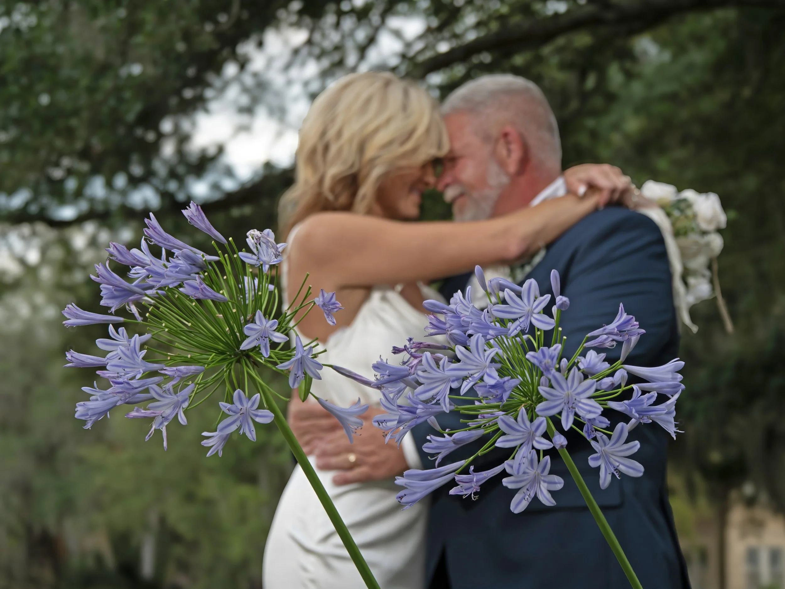 The Flowers of Savannah: A City That Blooms Through Every Season