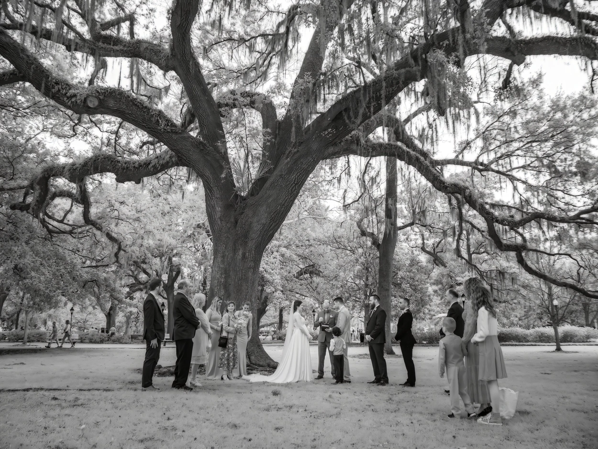 An Ethereal Ceremony Beneath the Live Oaks