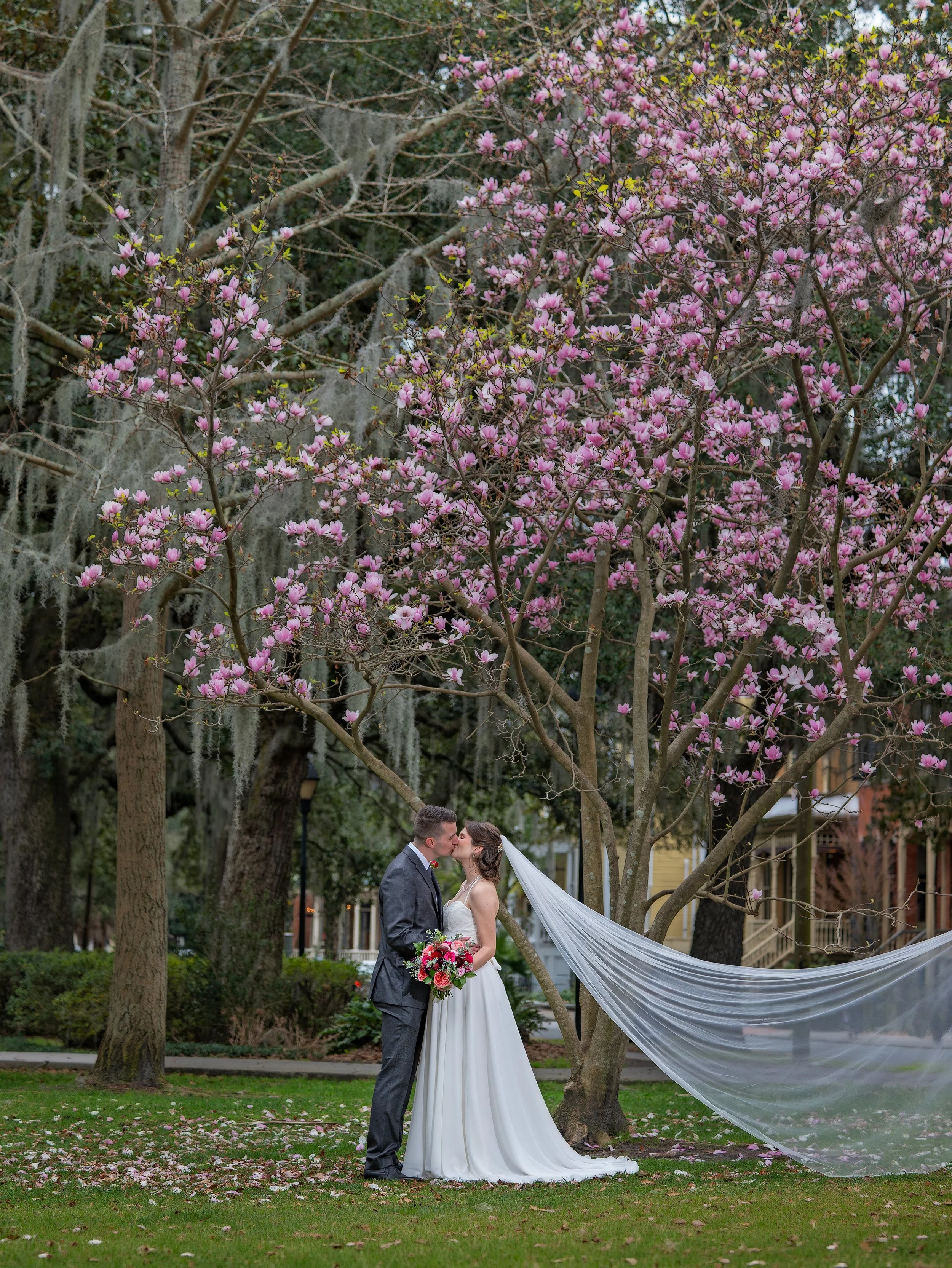 Bride and groom kissing beneath a blooming Saucer Magnolia tree in Forsyth Park Savannah during spring.