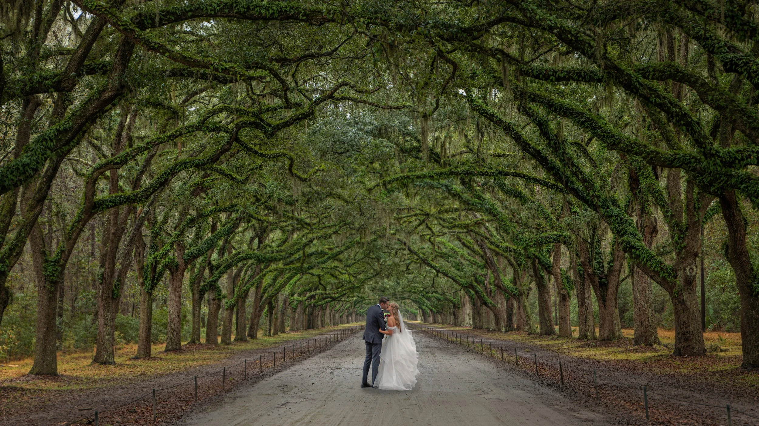 Bride and groom kiss beneath the live oak trees at Wormsloe State Historic Site during a Savannah Georgia elopement.