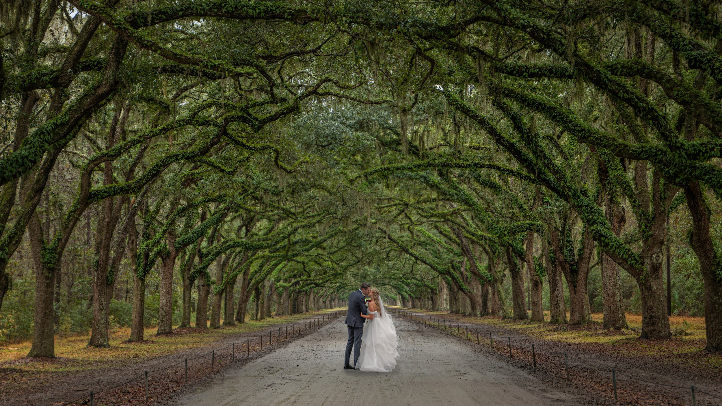 A Savannah Elopement beneath the live oaks at Wormsloe State Park