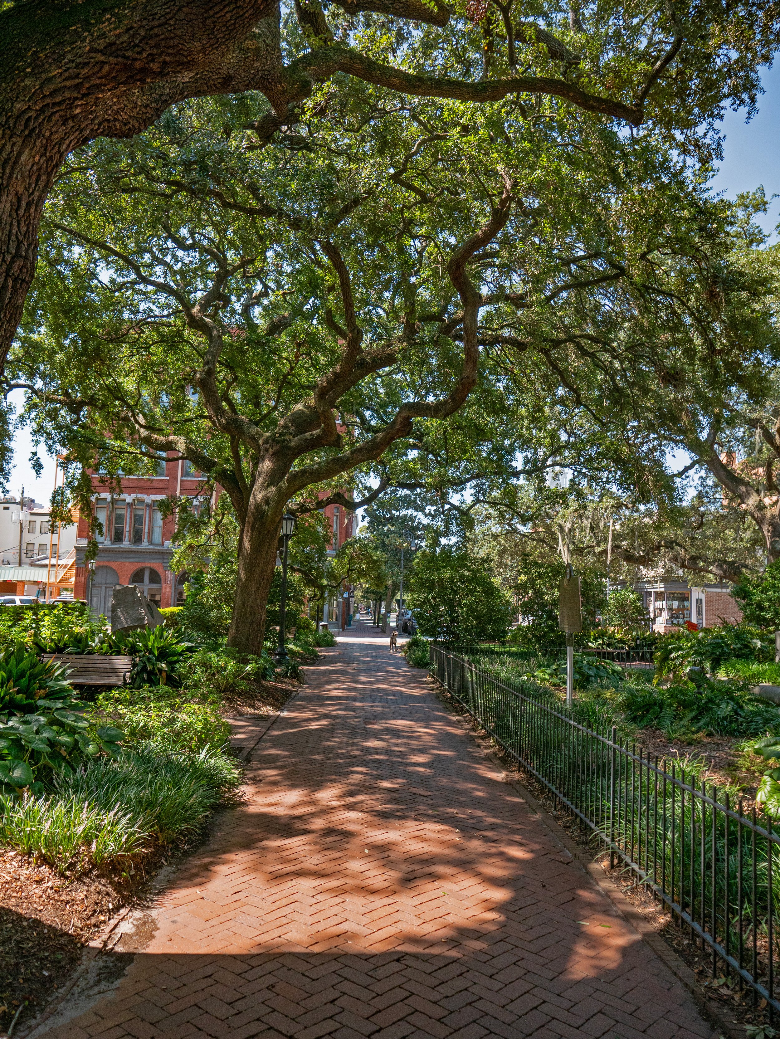 Brick walkway beneath live oak trees in Wright Square, Savannah
