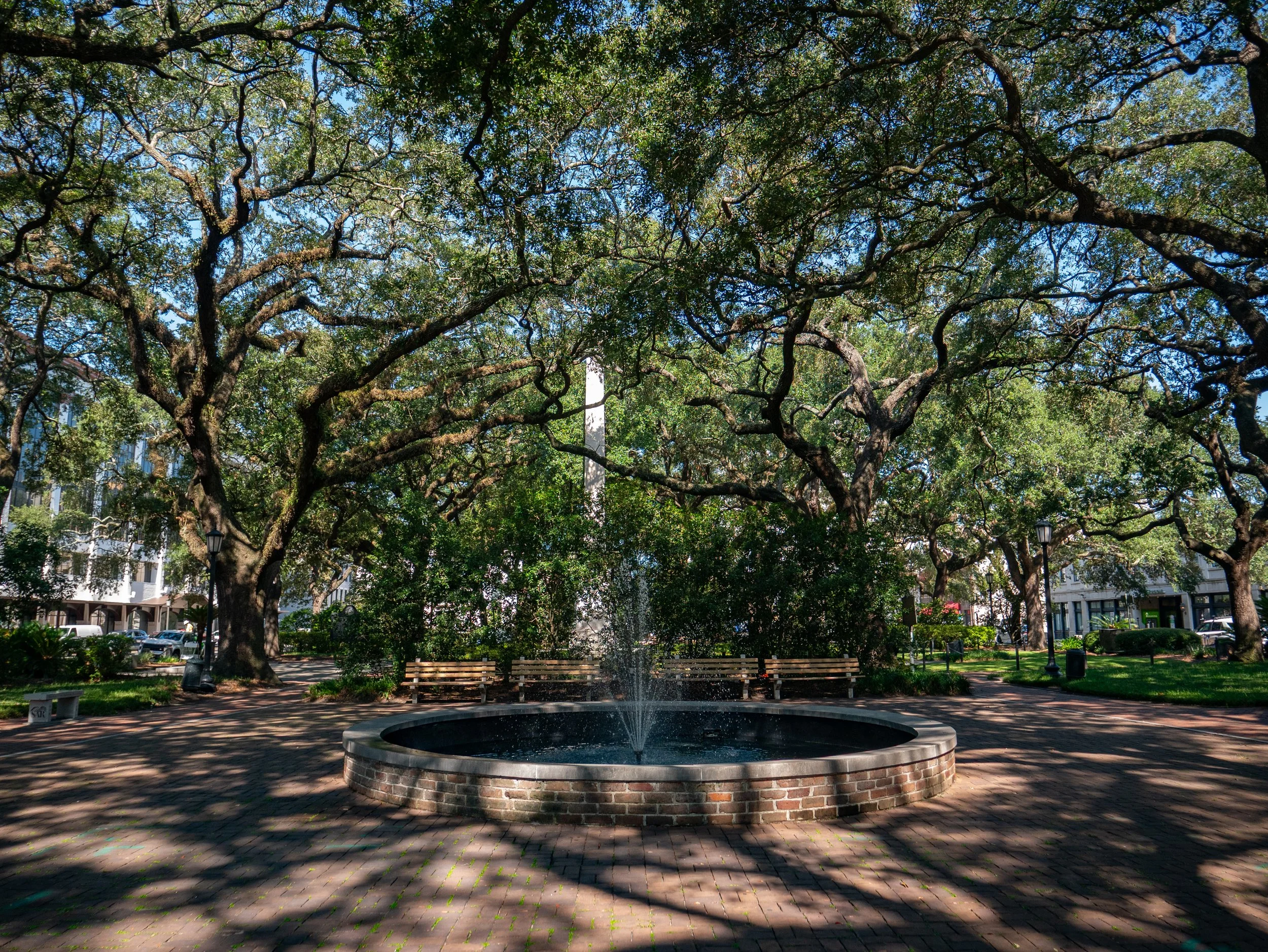 Sunlight filters through live oaks above a brick walkway in Johnson Square, Savannah.