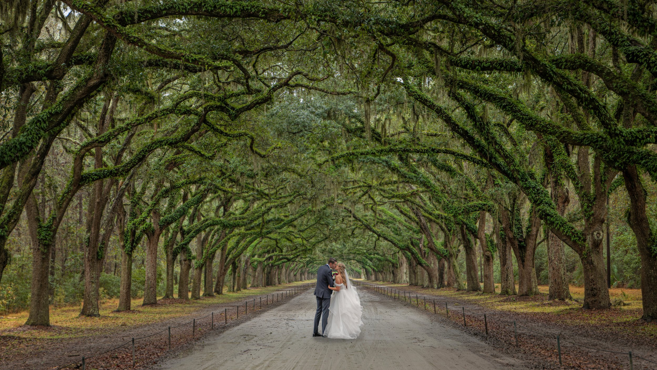 Bride and groom kiss beneath the towering live oak trees at Wormsloe State Park during a romantic Savannah wedding portrait session in Savannah, Georgia.