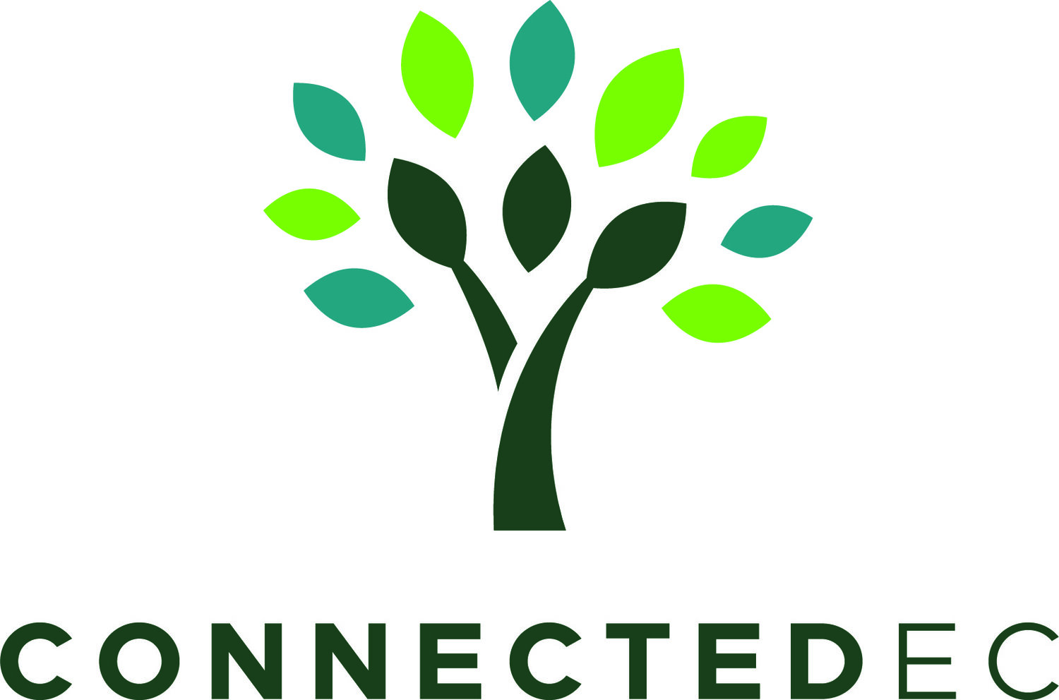 Connected EC | Executive Leadership &amp; Wellbeing