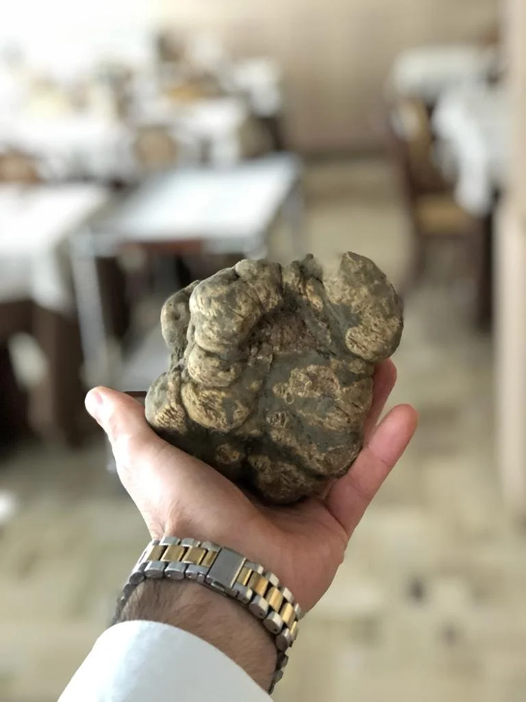 Immaagine WhatsApp 2023-01-30 ore 12.54.50.jpg