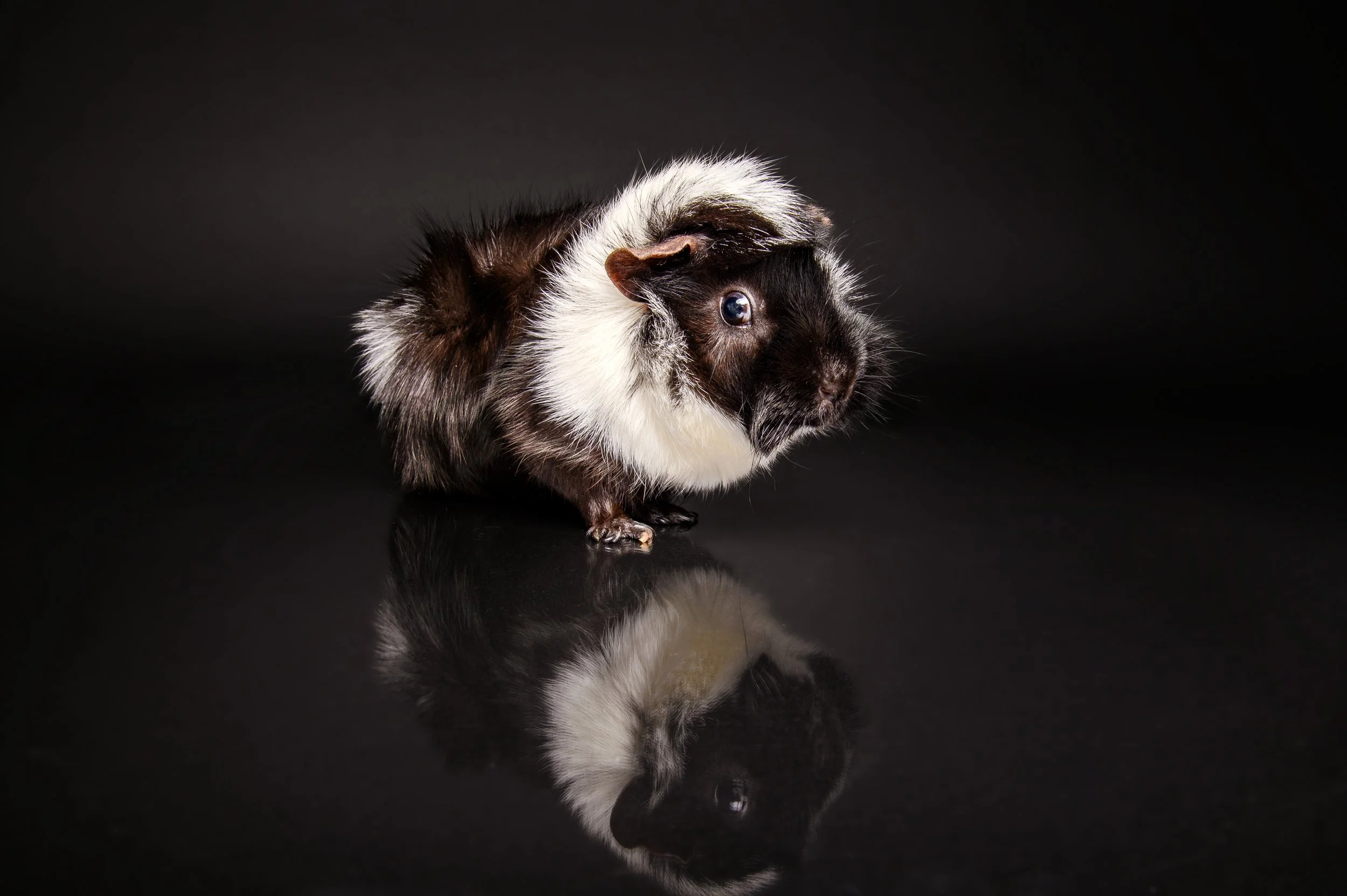 Paisley_Mabel_2025-19.jpg
