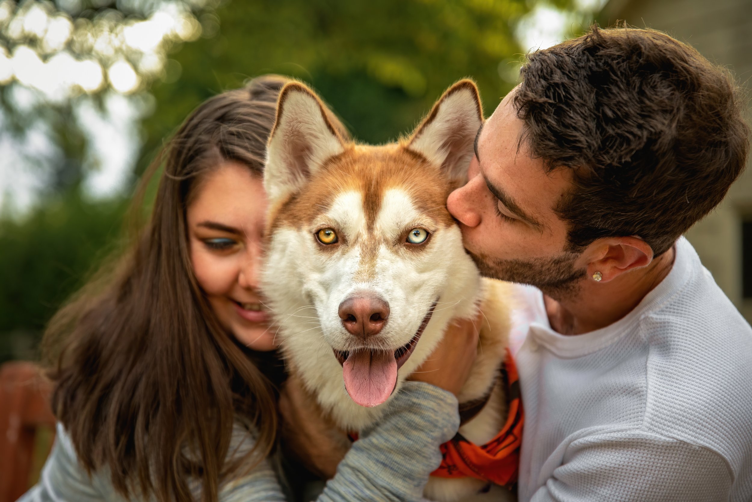Red husky with two different colored eyes looking at the camera with dog mom on cuddling on the right and dog dad kissing the left side of the husky's face, in Kirkland area