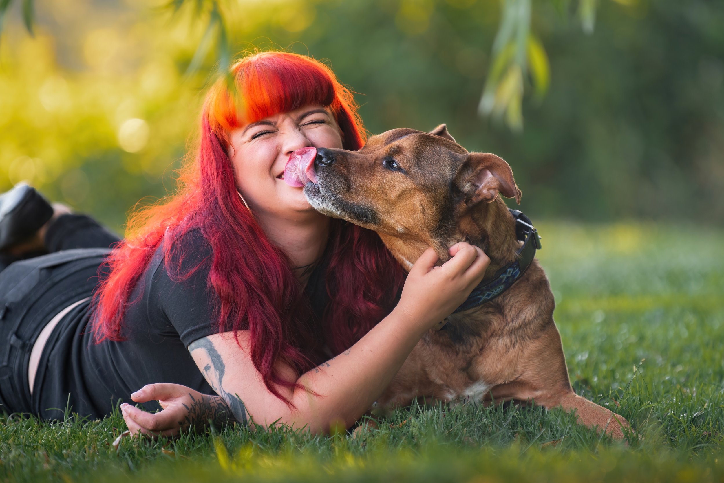 Dog mom with fire red hair laying stomach down in the grass while her senior pitbull dog licks her smiling face