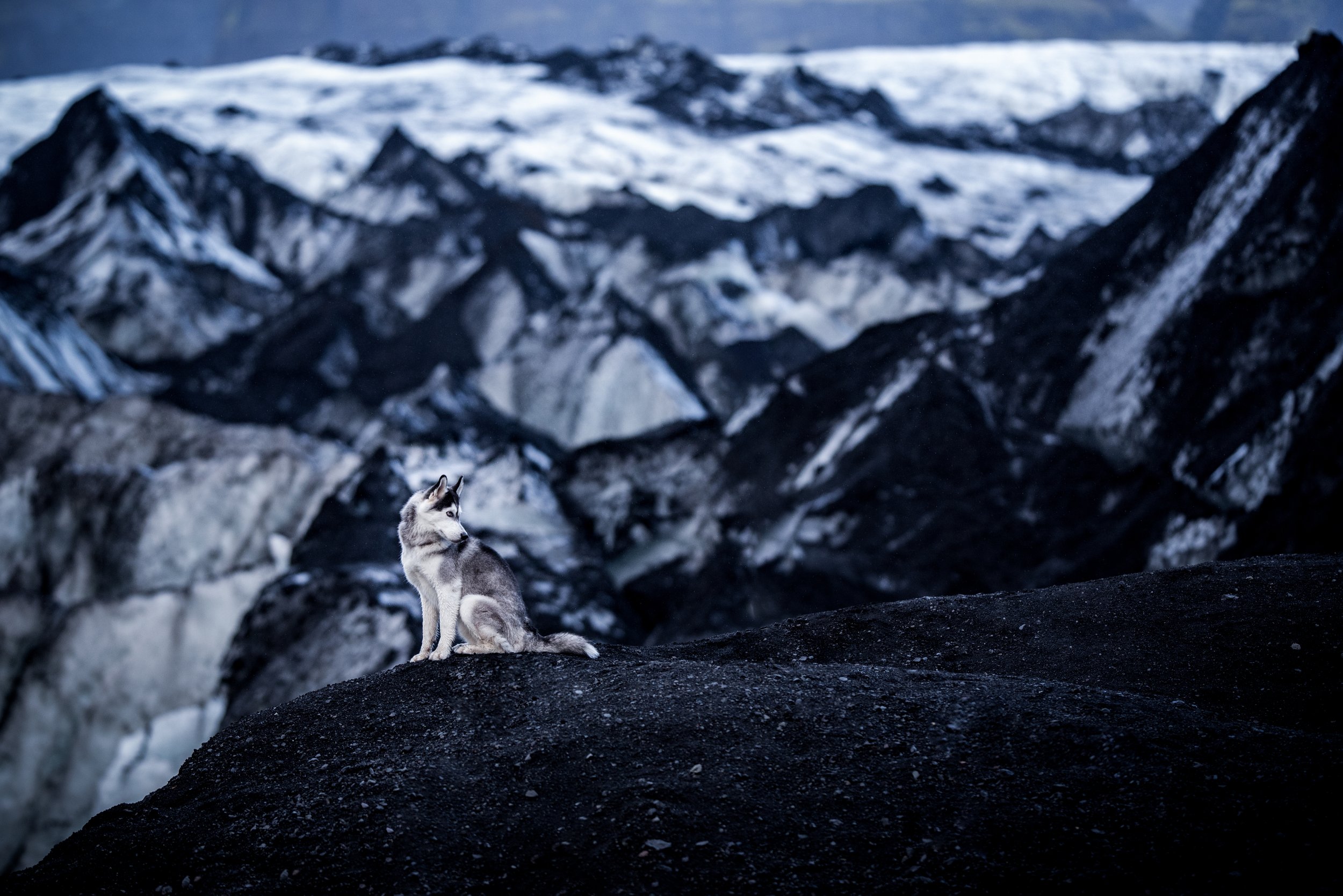 Marie-Nanook-1.jpg