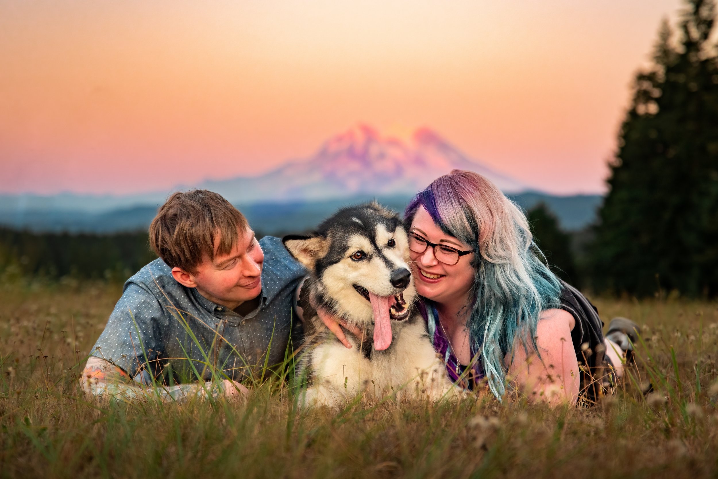 young couple laying in a grassy field with their malamute, smiling and laughing, in front of a gorgeous sunset of mount rainier