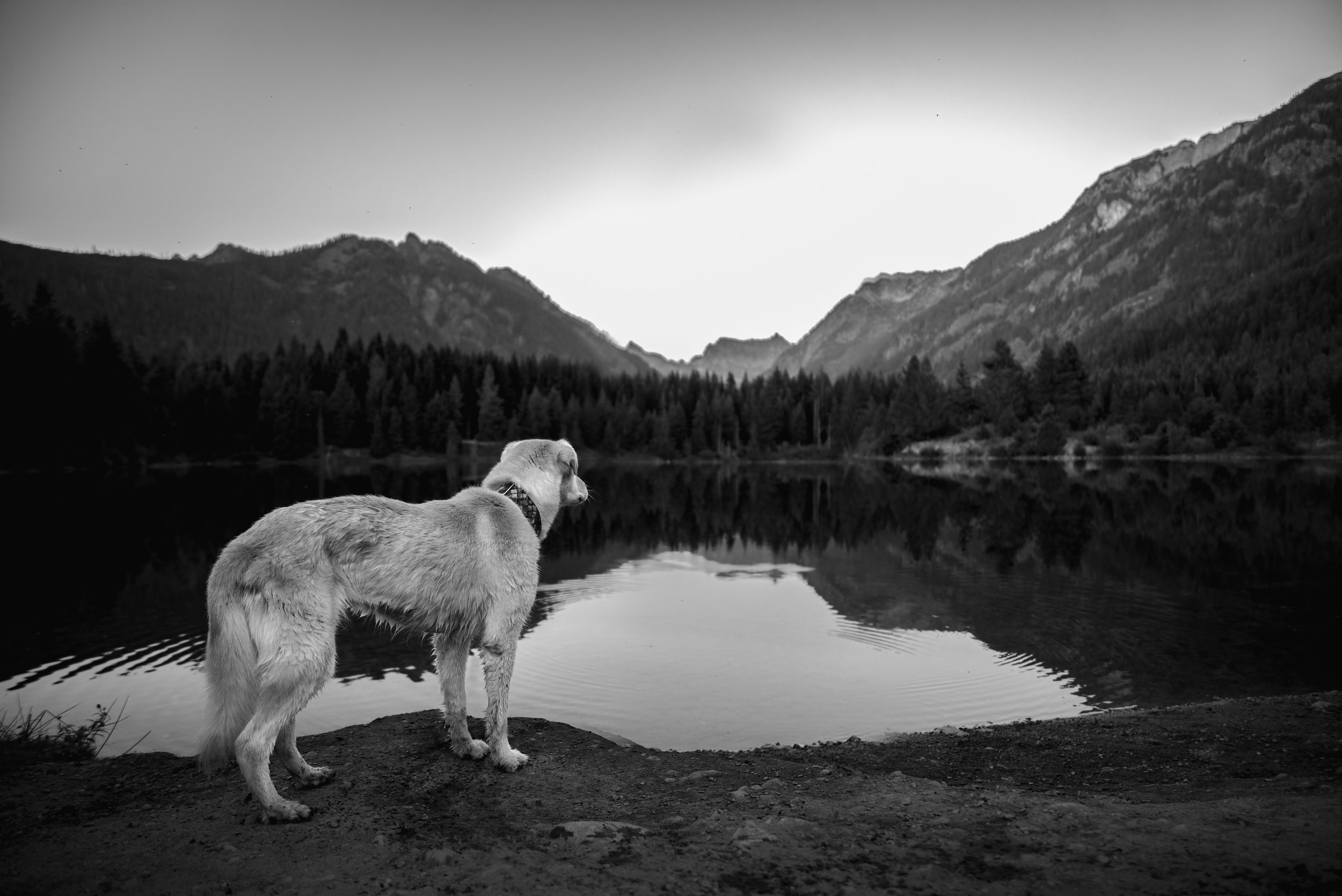 BW-1.jpg